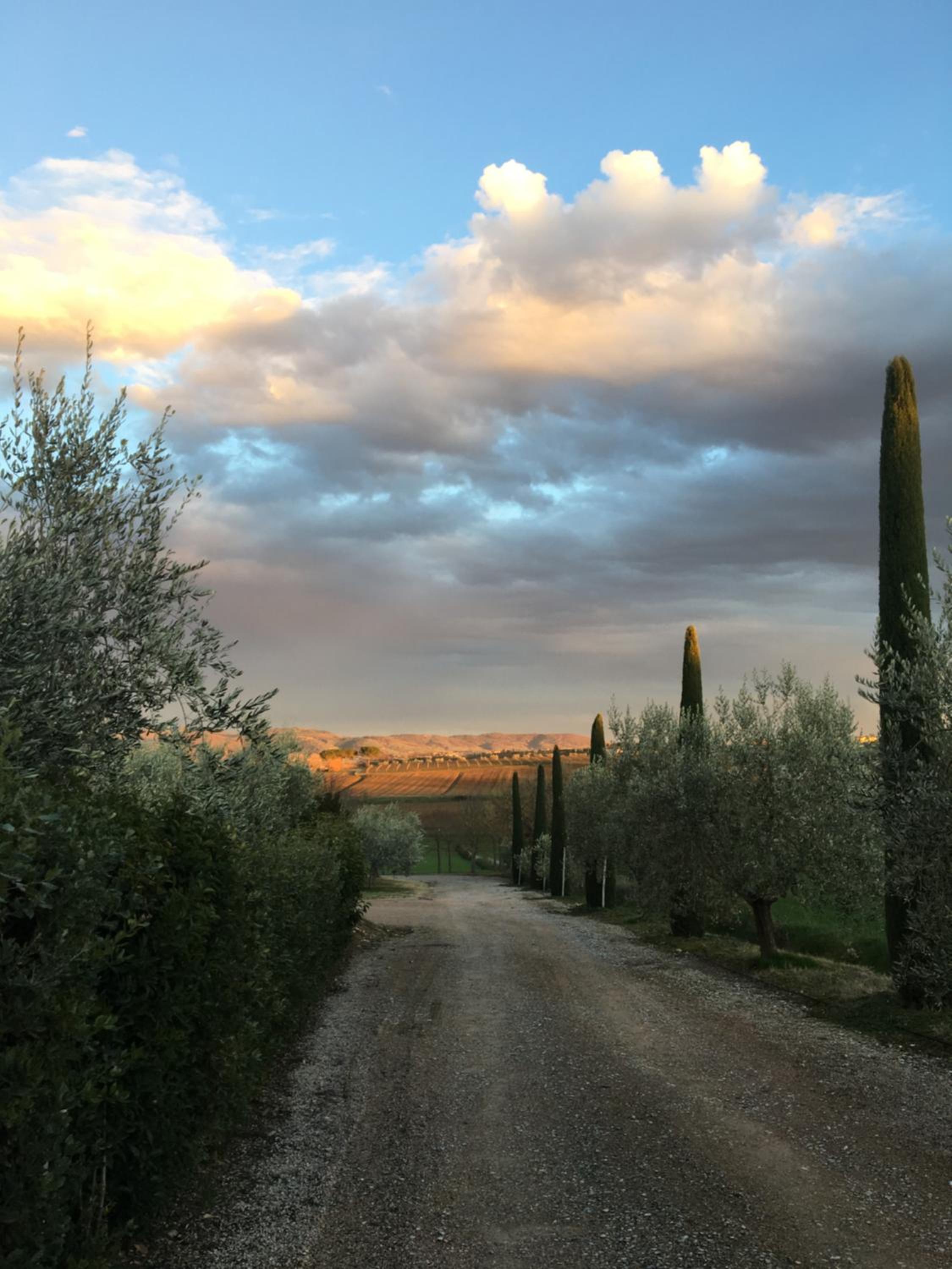 Cortona Vacations - Casale Lombriciano - Property Image 6