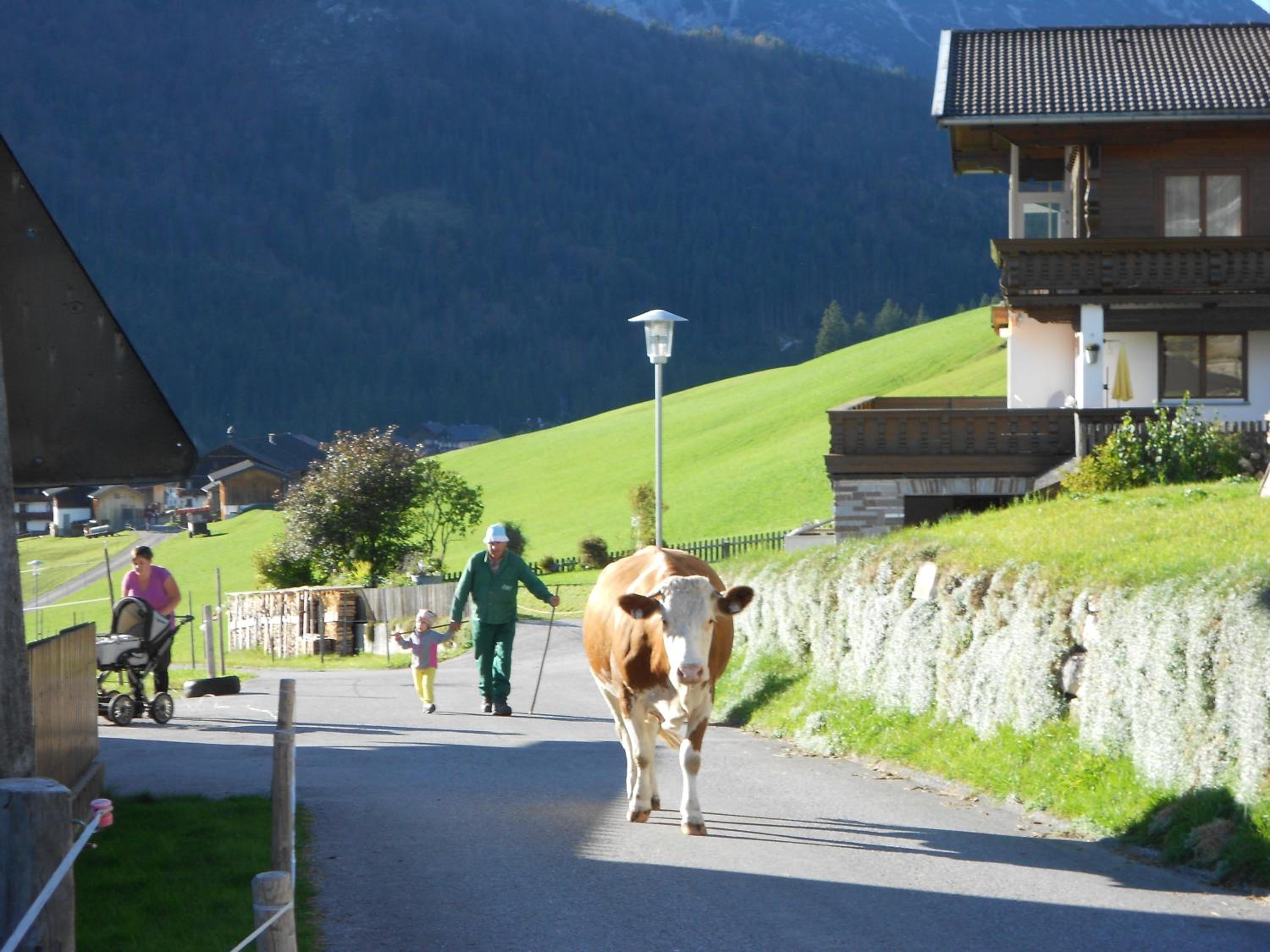 Haus Panorama
