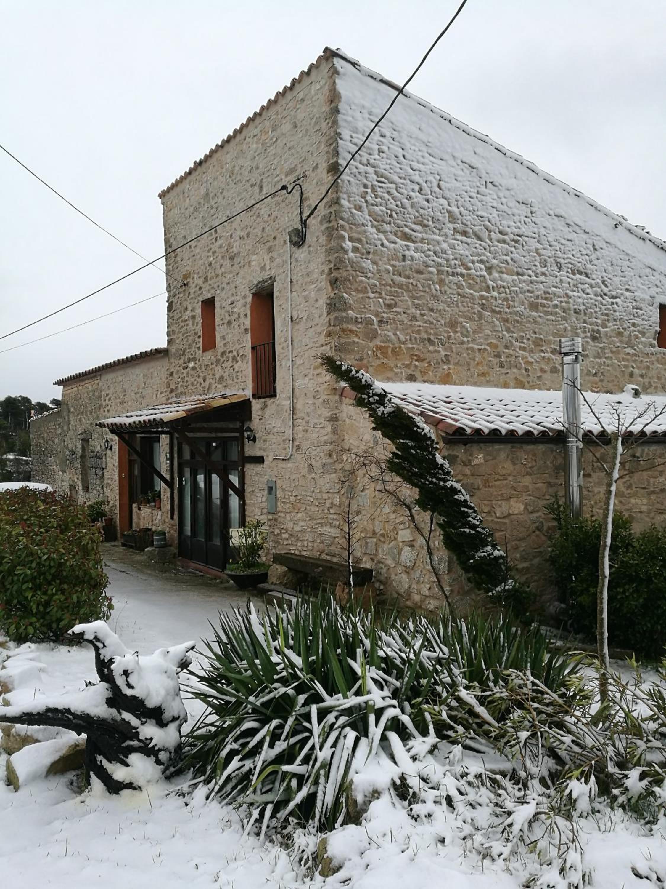 Photo 8