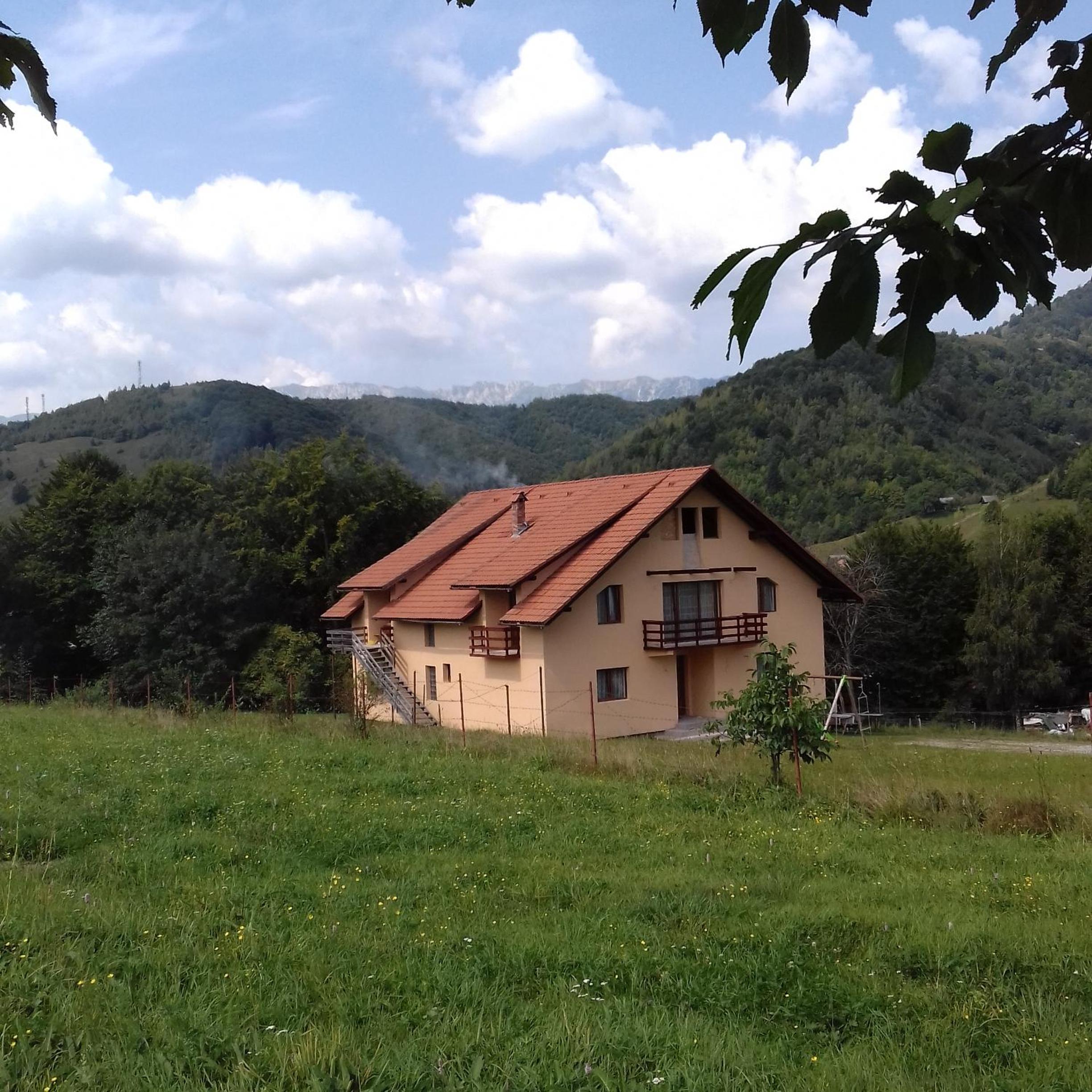 Photo 45