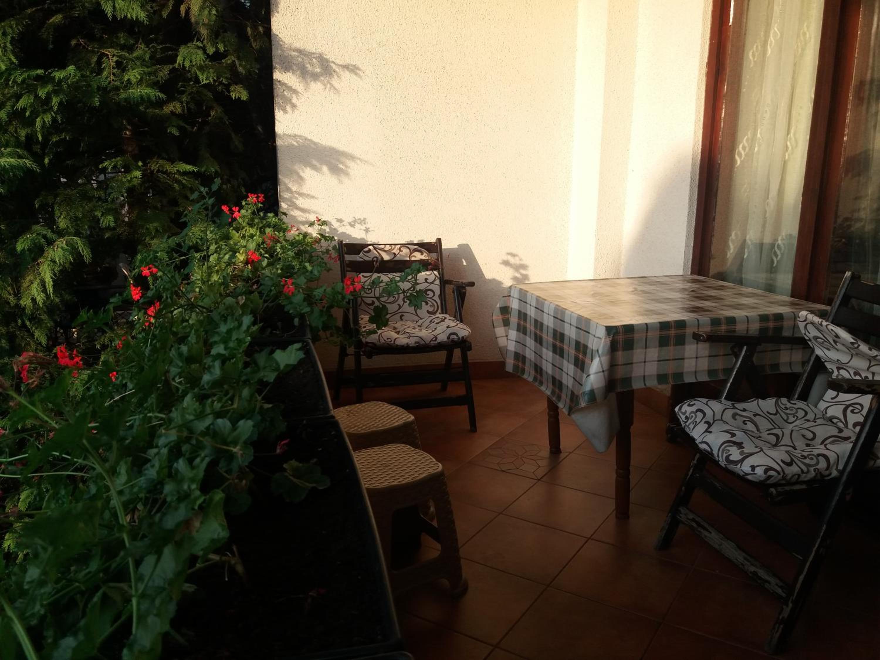 Photo 24