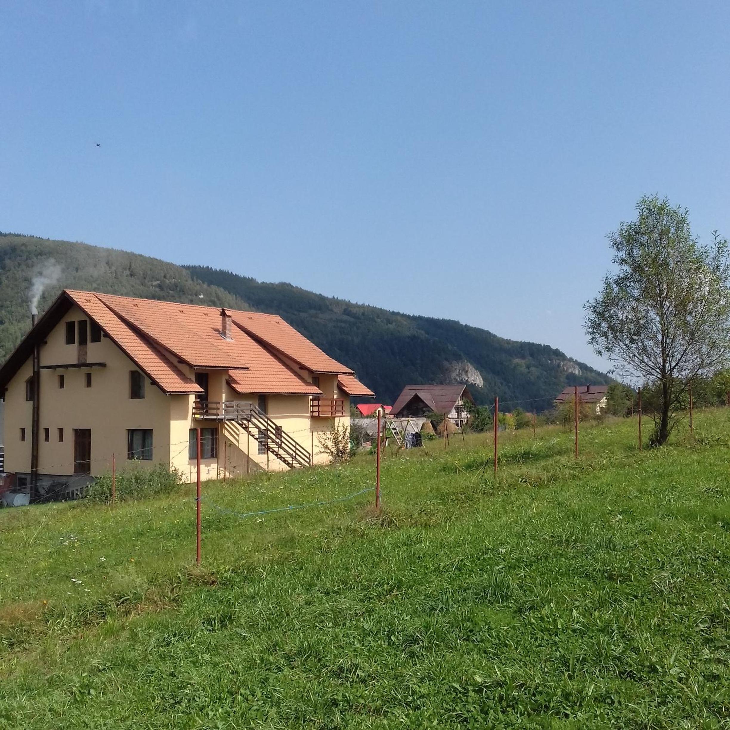 Photo 46