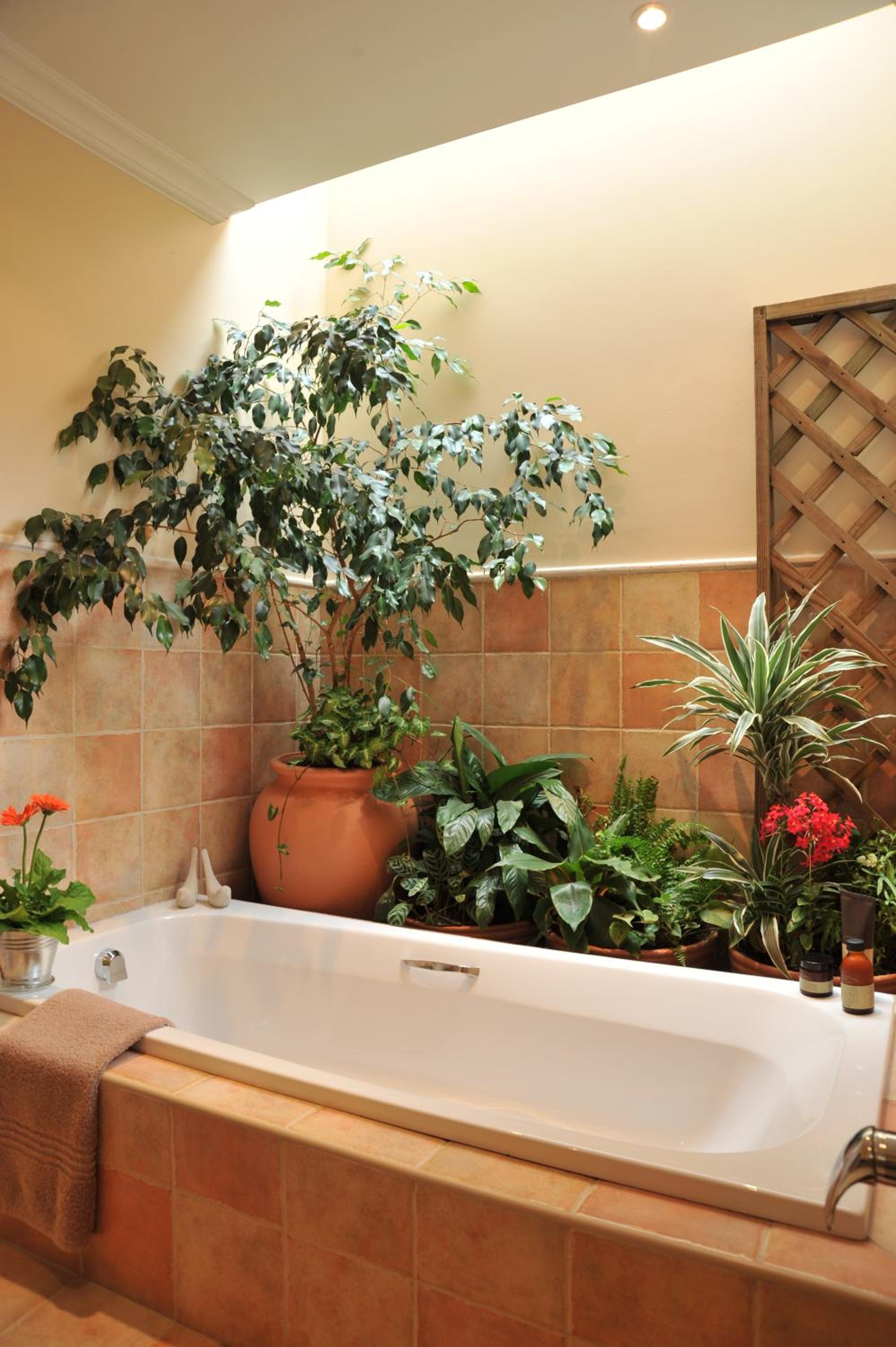 Claires of Sandton Luxury Guest House