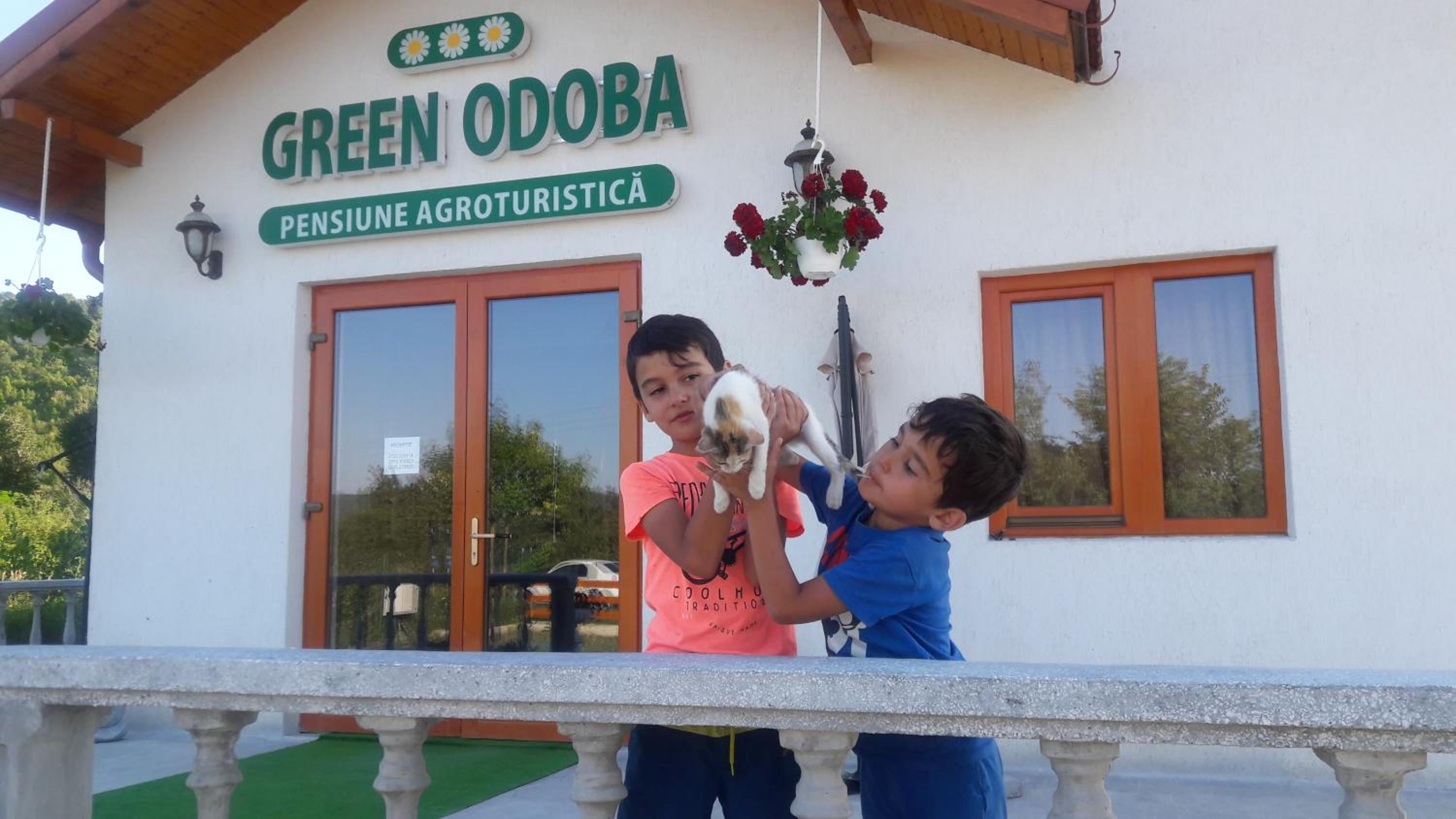 Pensiunea Agroturistica Green Odoba