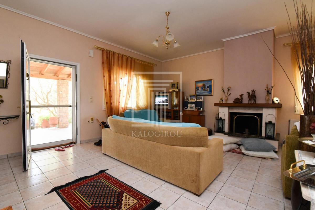 Summer House Toula photo 3