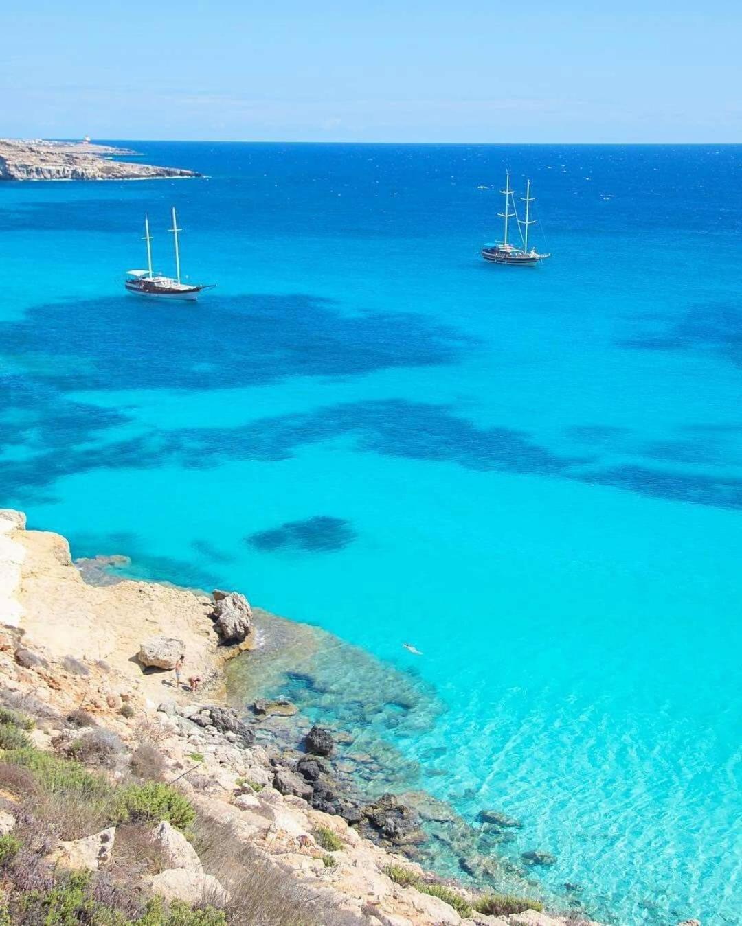 Lampedusa rosamarina photo 2