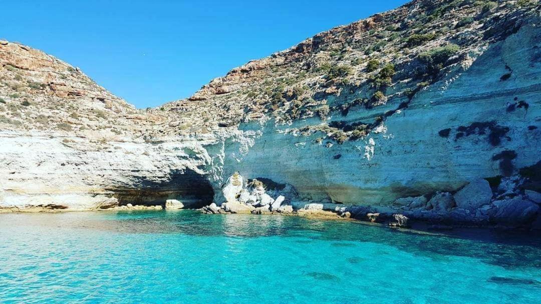 Lampedusa rosamarina photo 3