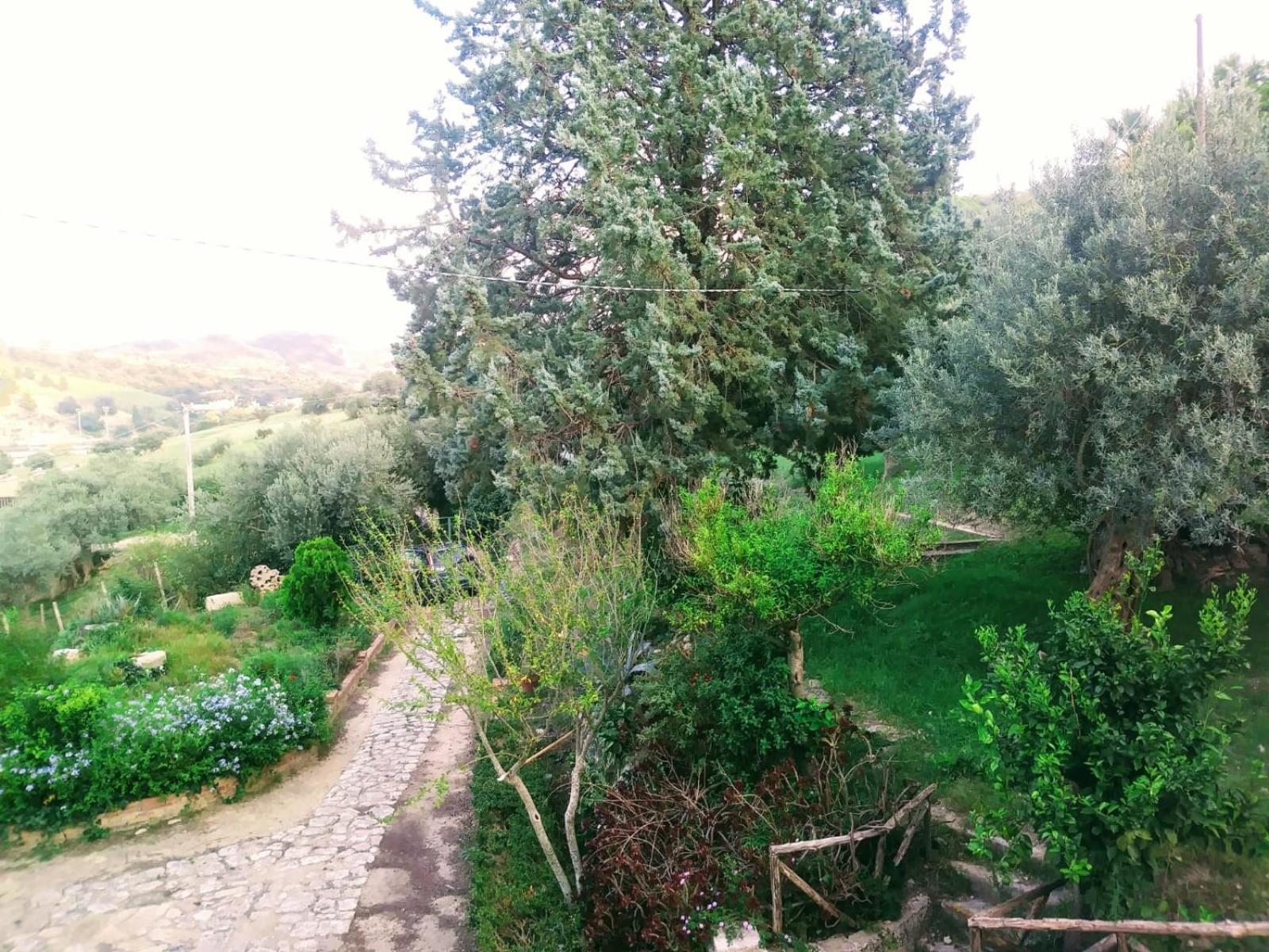 Photo 9