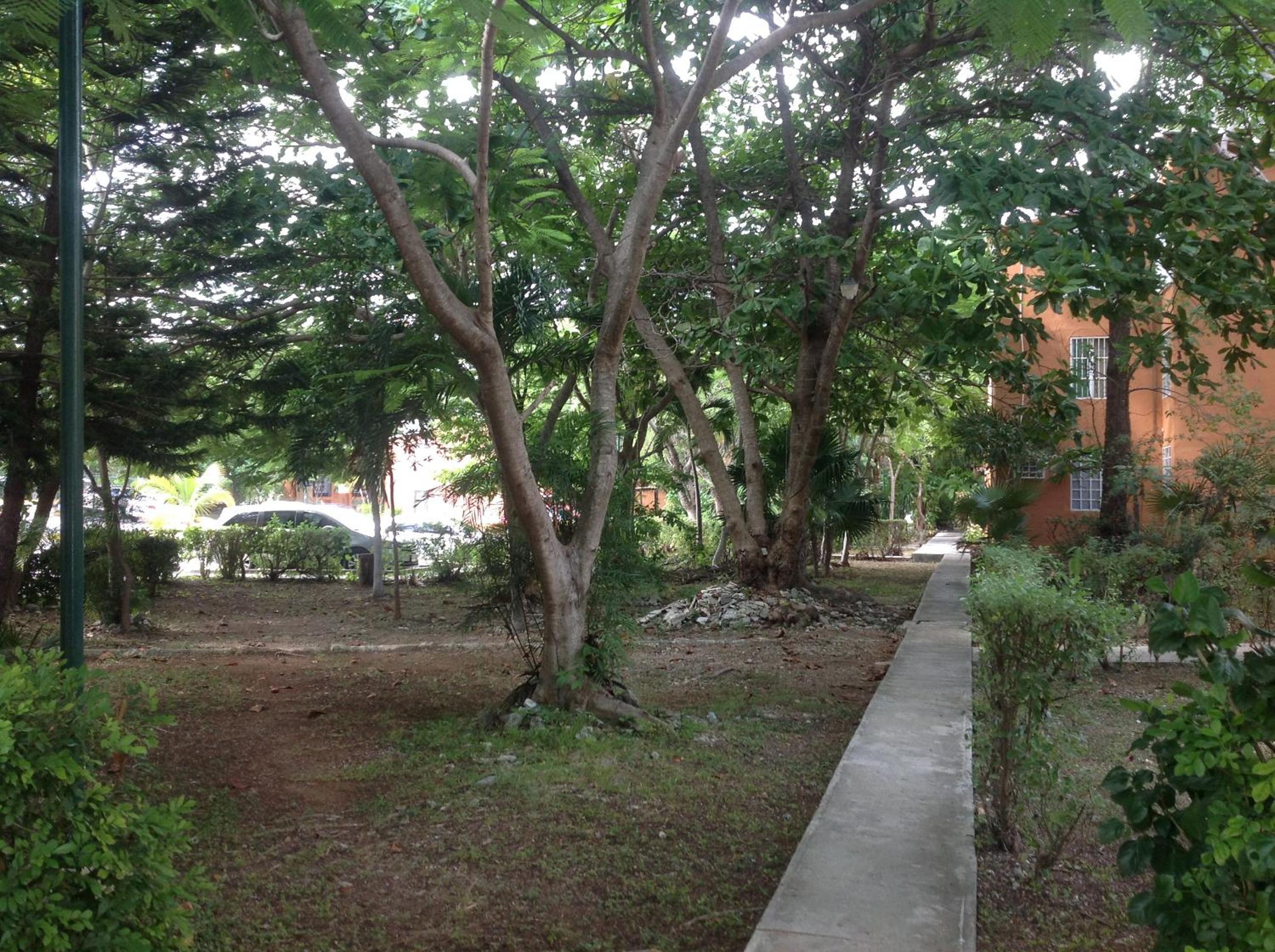 Departamento Tucán