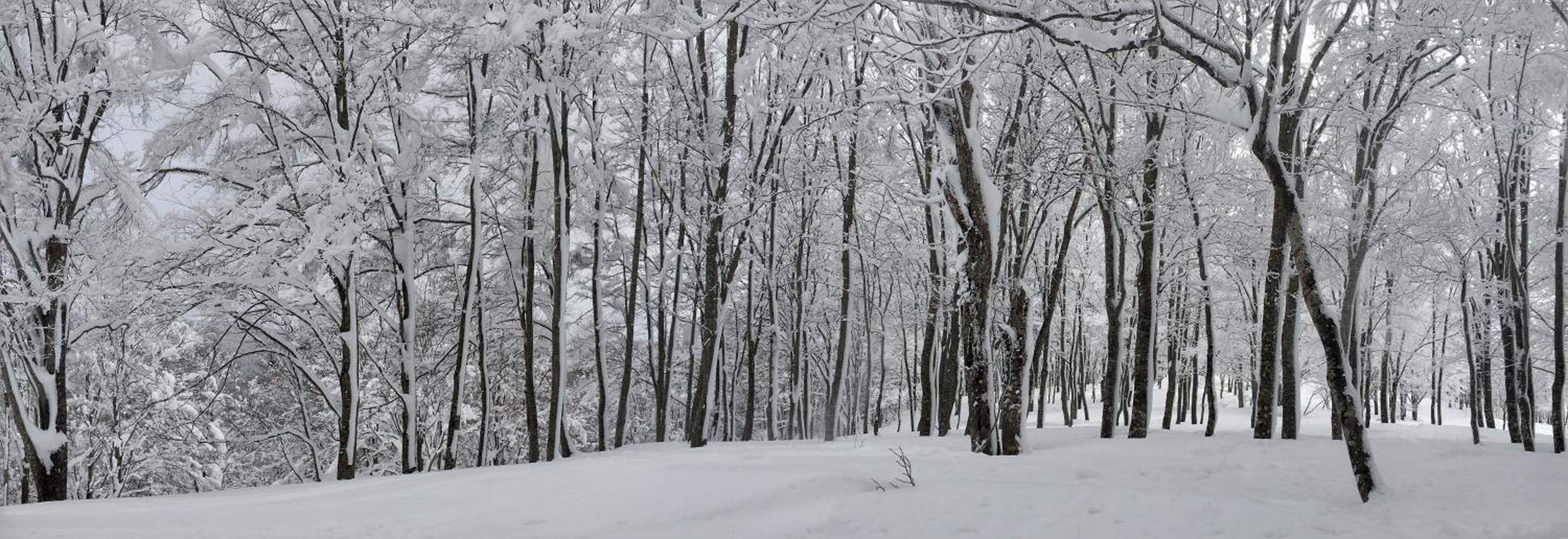 Nozawa Onsen BASECAMP