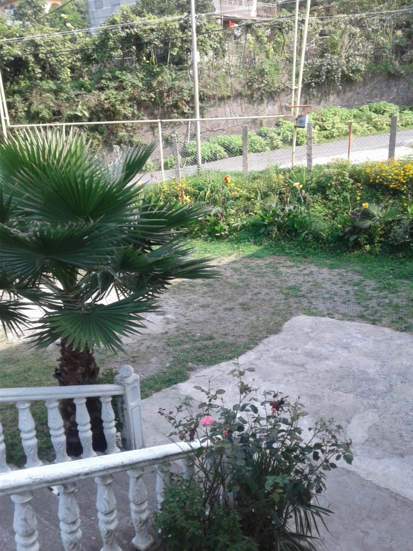 Photo 15