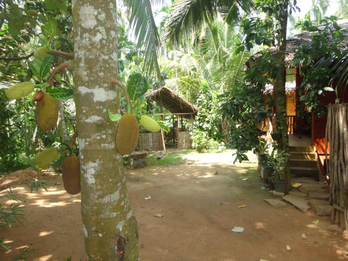 children's play area