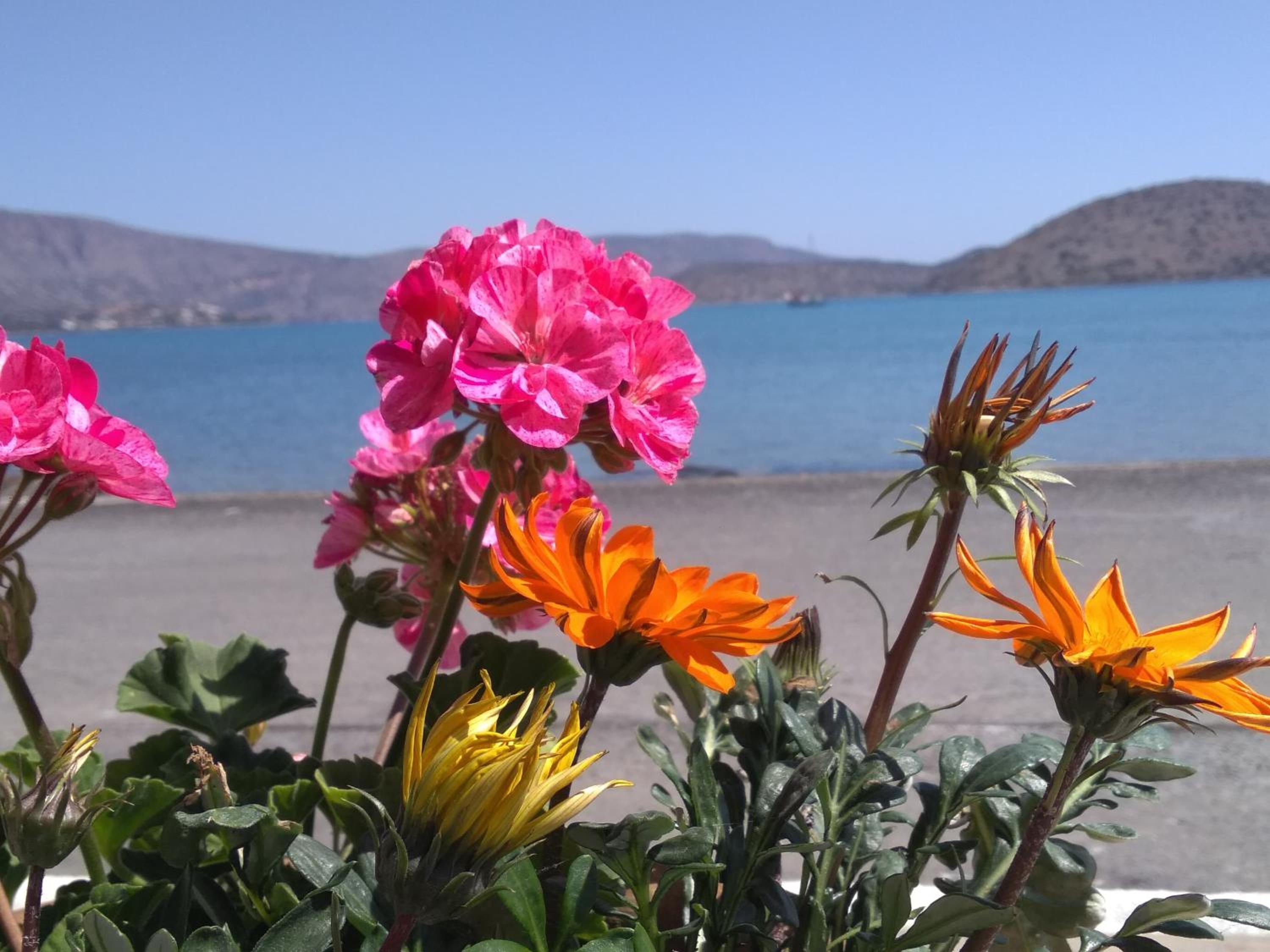 Hiona Seaside
