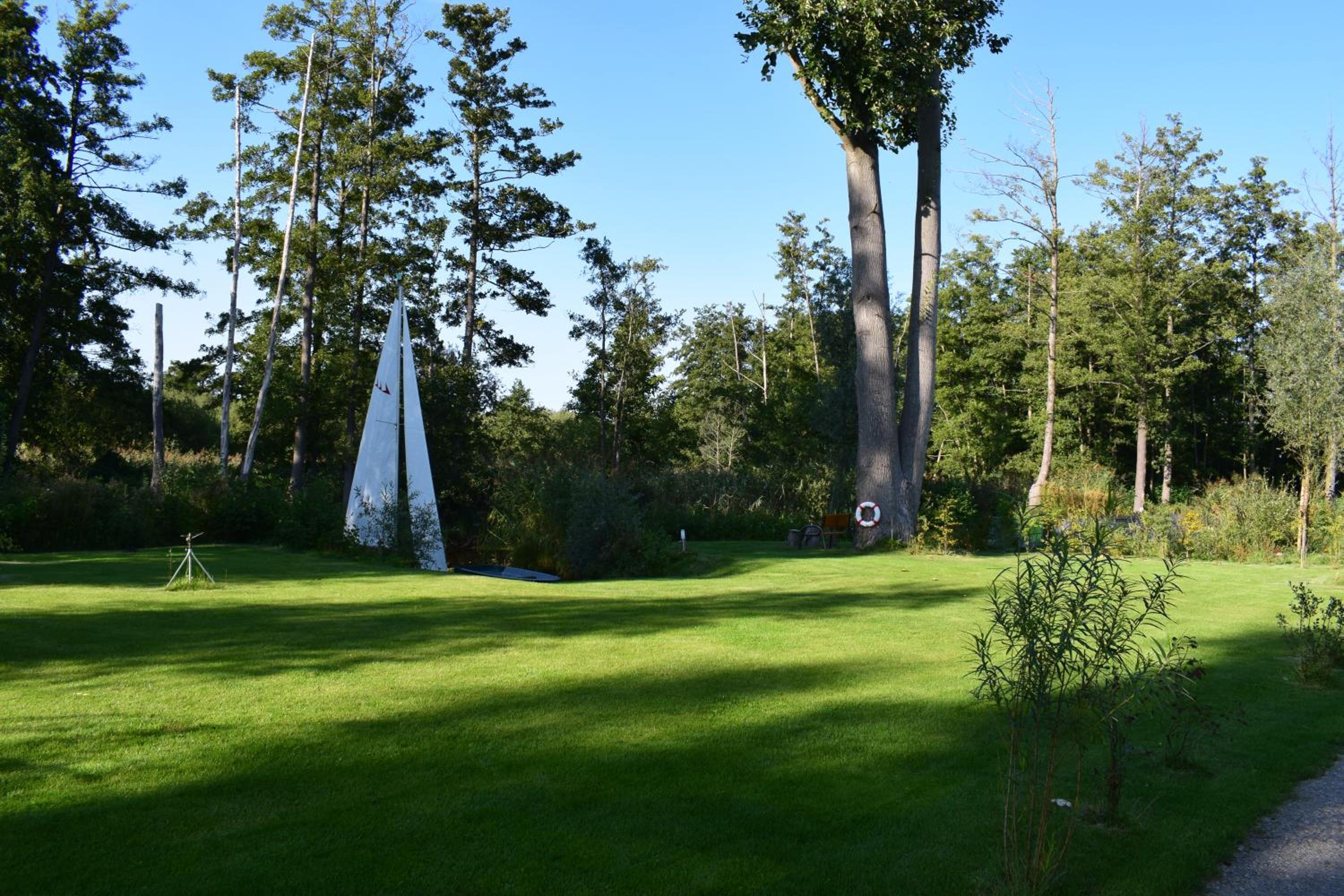 Photo 50