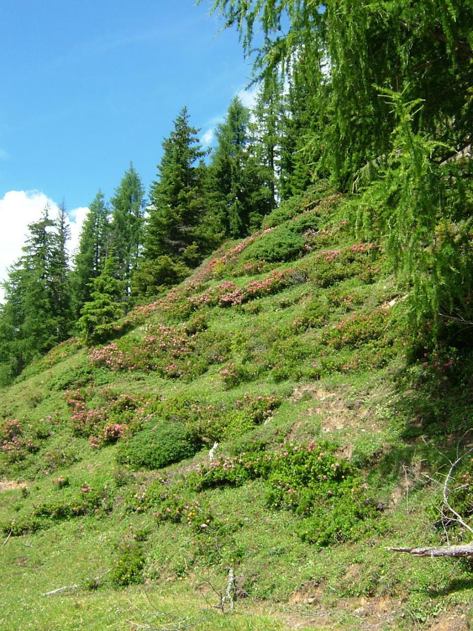 Haus Katharina