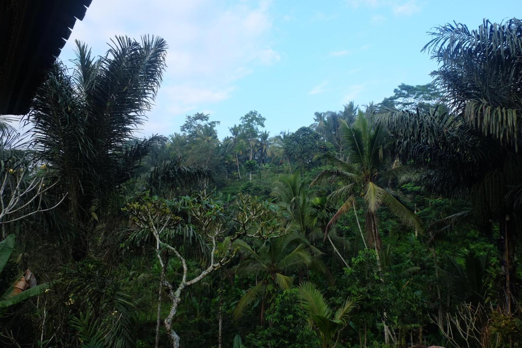 Gunung Kawi House