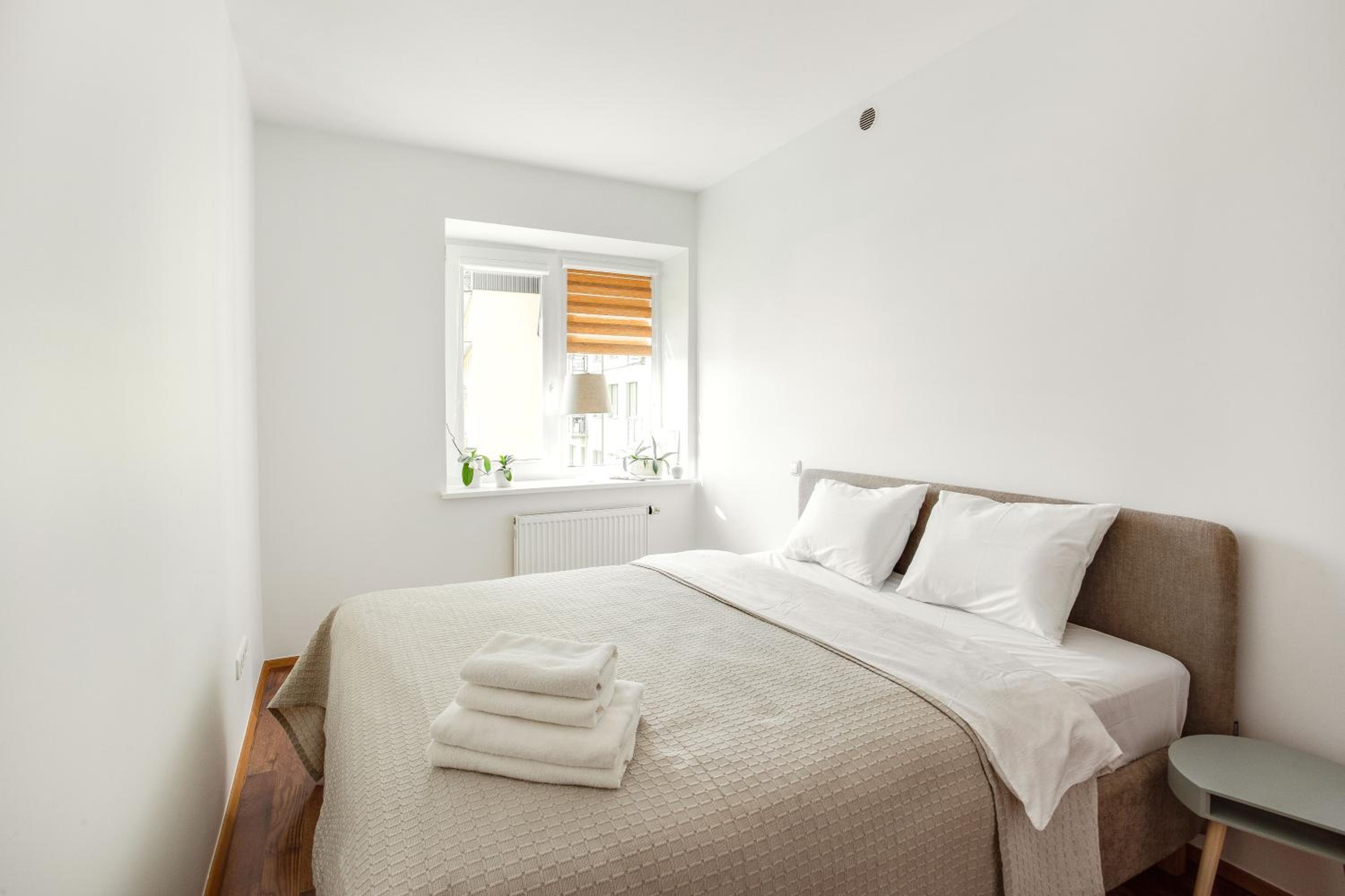 #inVilnius - Spacious & Bright 1BDR Apartment Shopping District view 2
