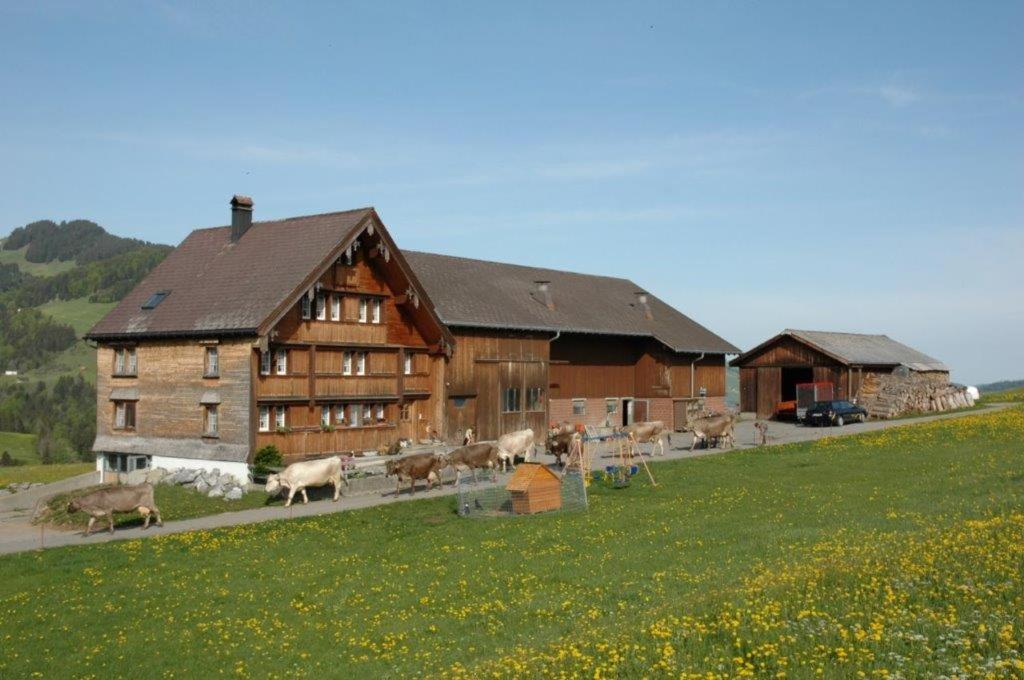 Ferienwohnung Brülisauer view 4