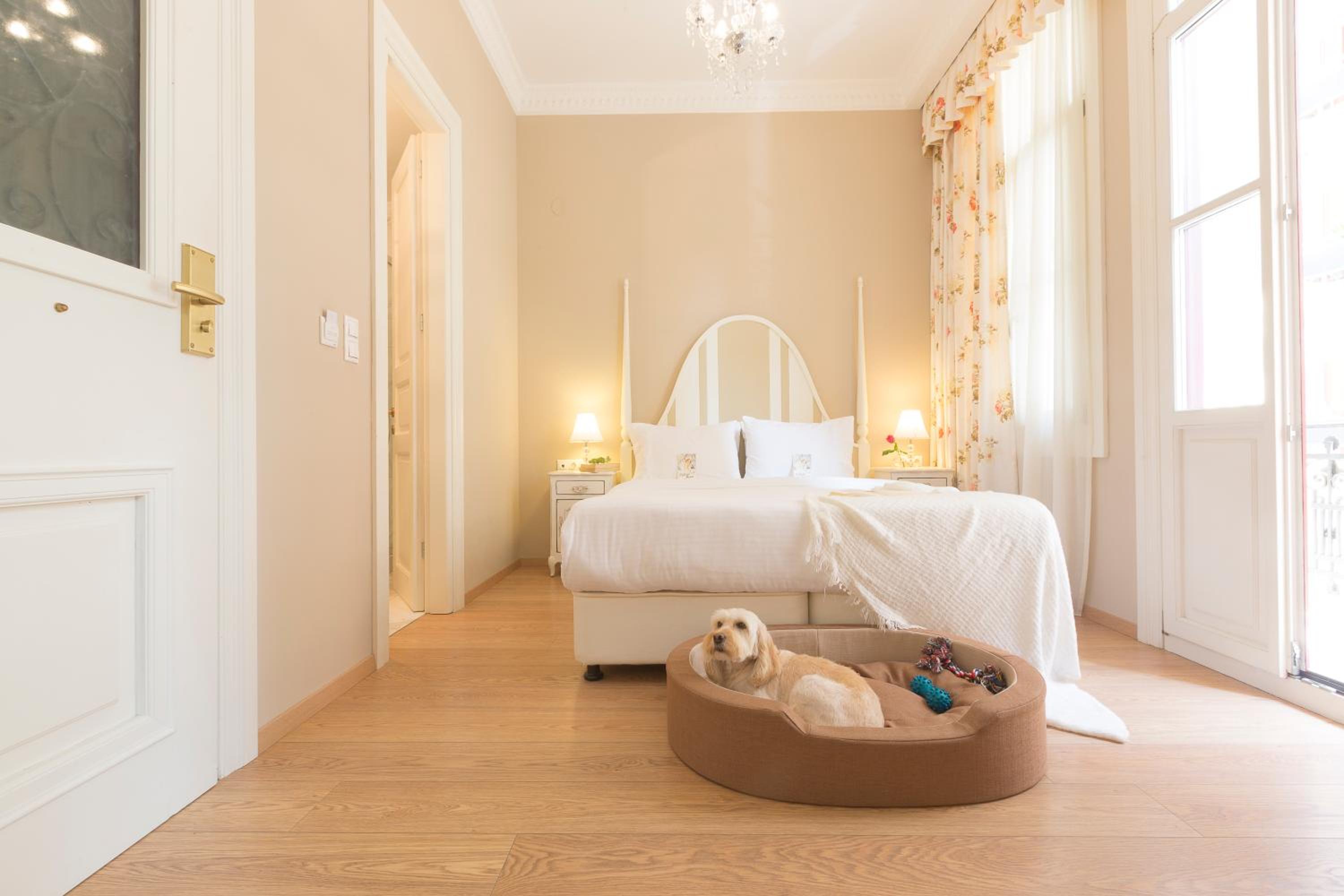 Gatto Perso Luxury Studios And Apartments