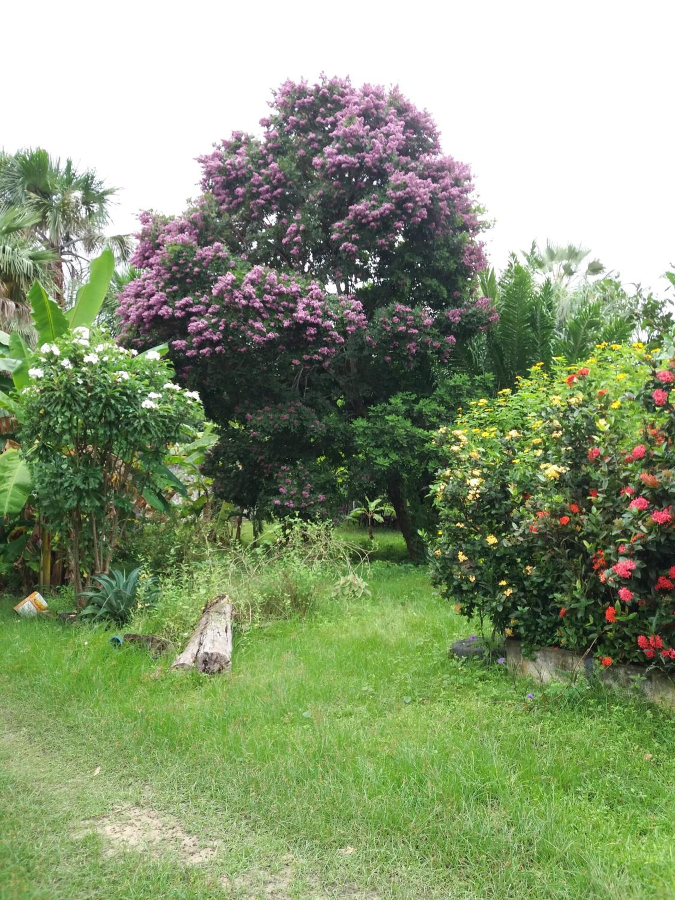 Photo 7