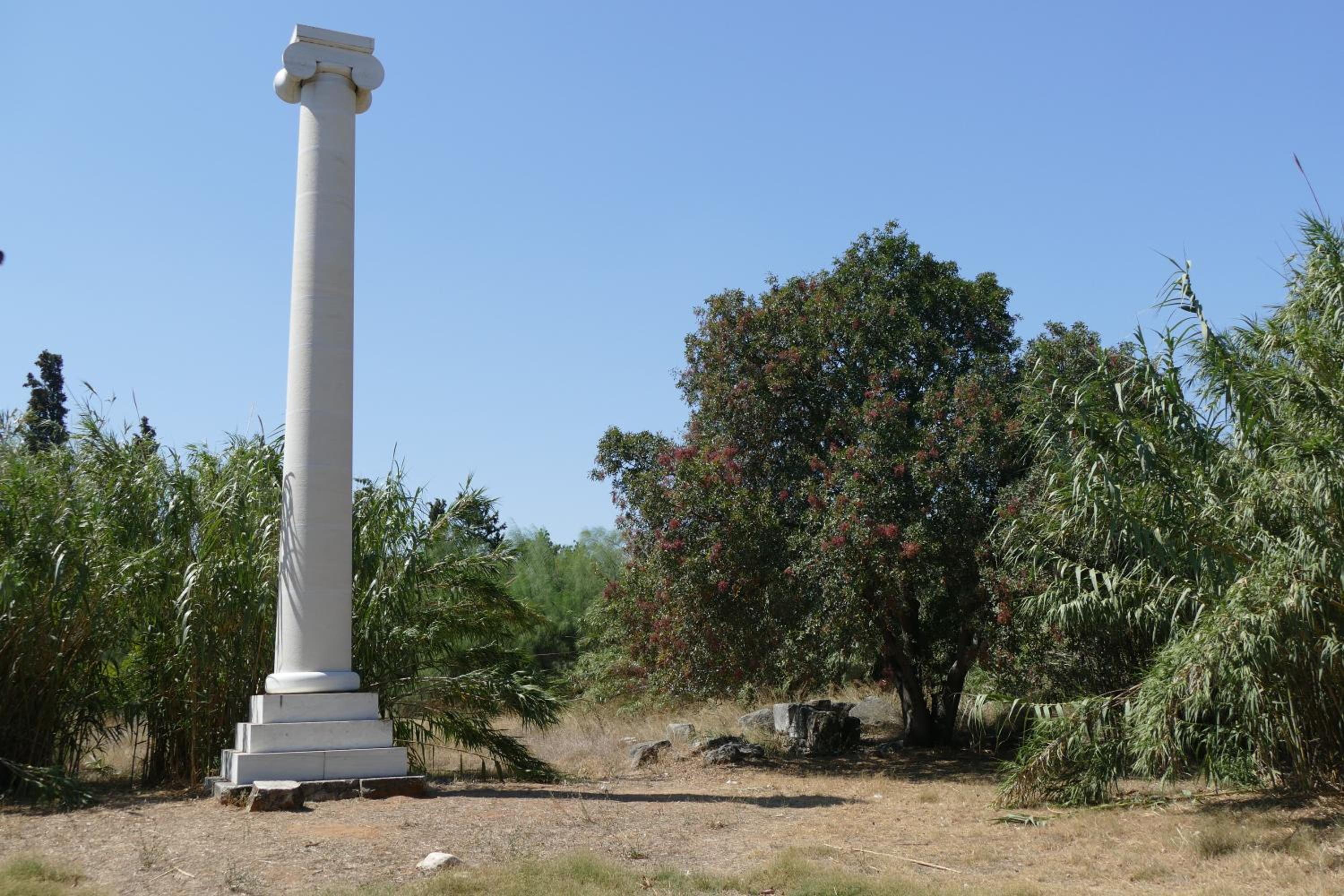 Photo 48