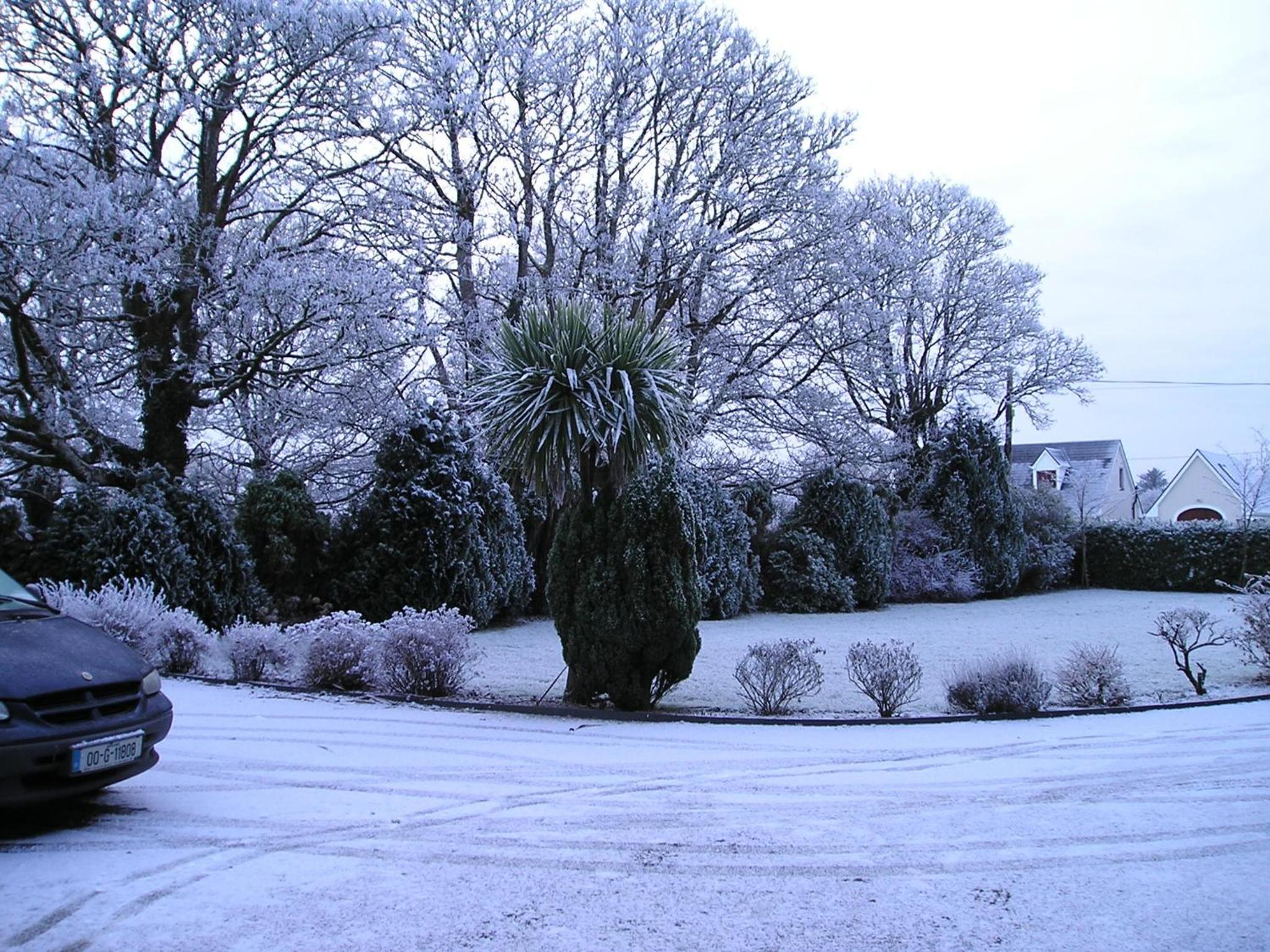Mountain View Guesthouse, photo 10