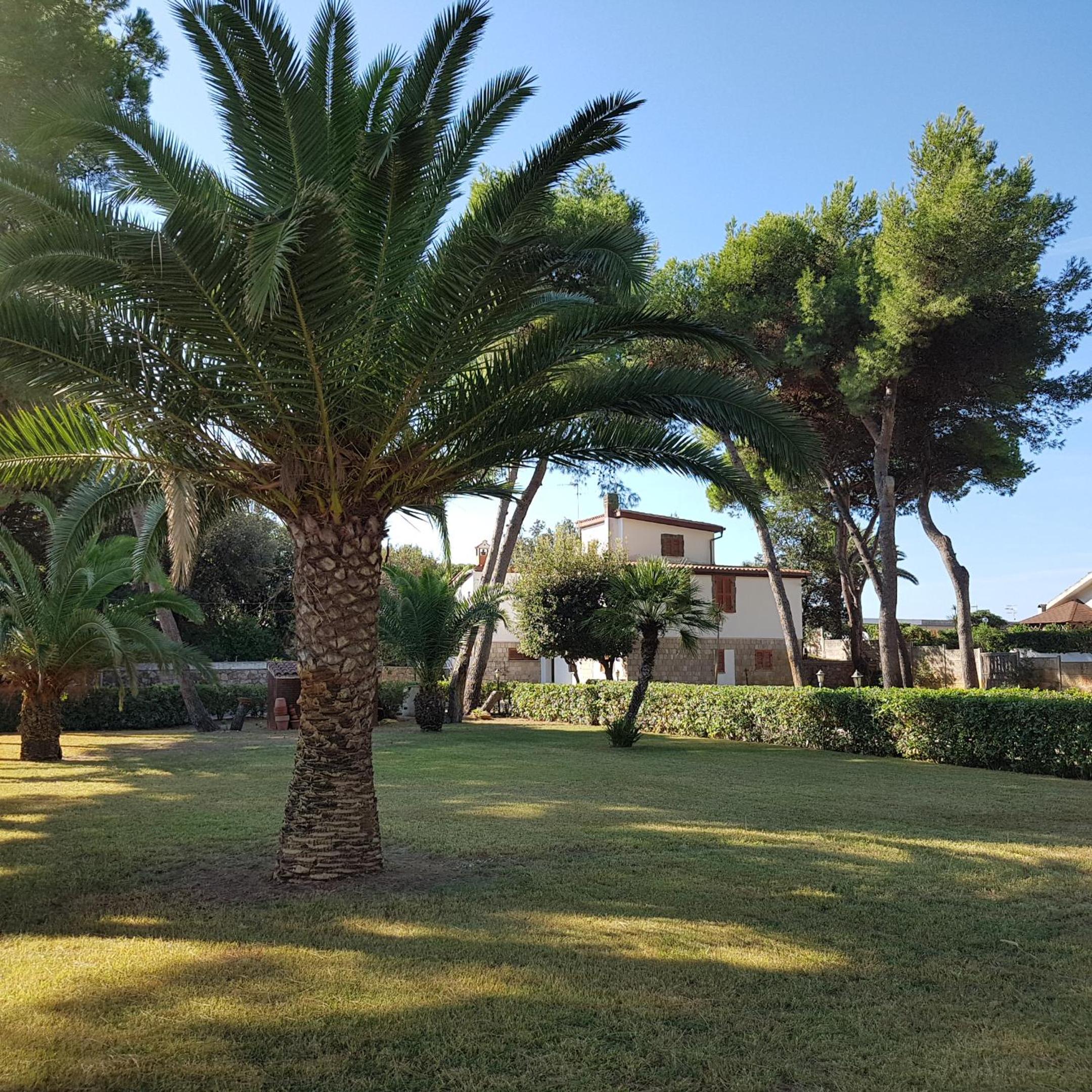 Villa GREG stupenda casa sulla spiaggia con accesso diretto al mare view 4