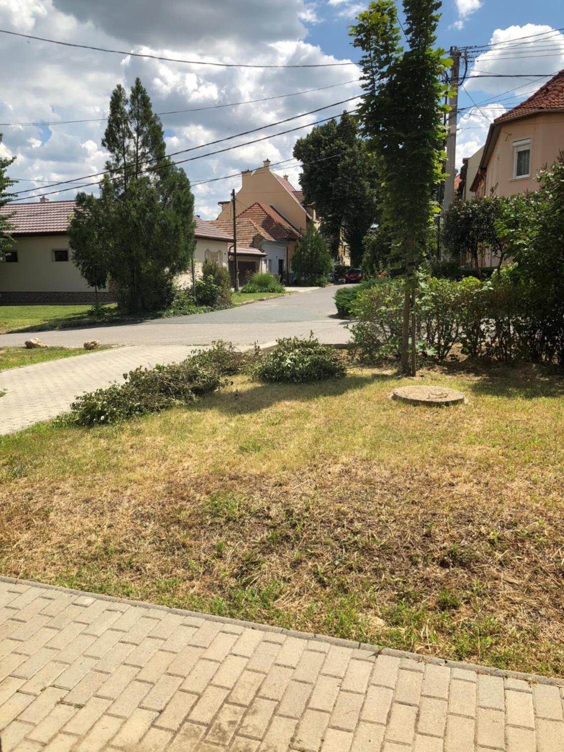 Family Residence view 5