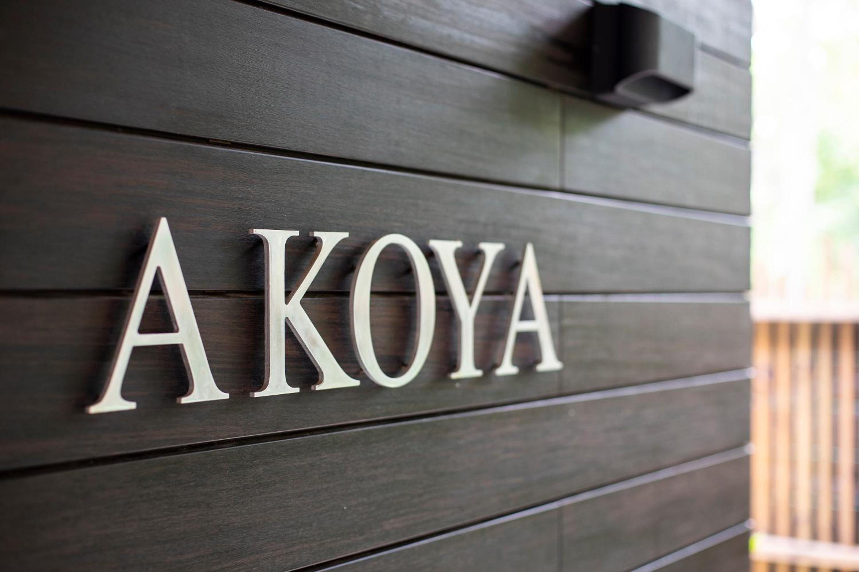 Luxury Beachfront Villa Akoya view 3