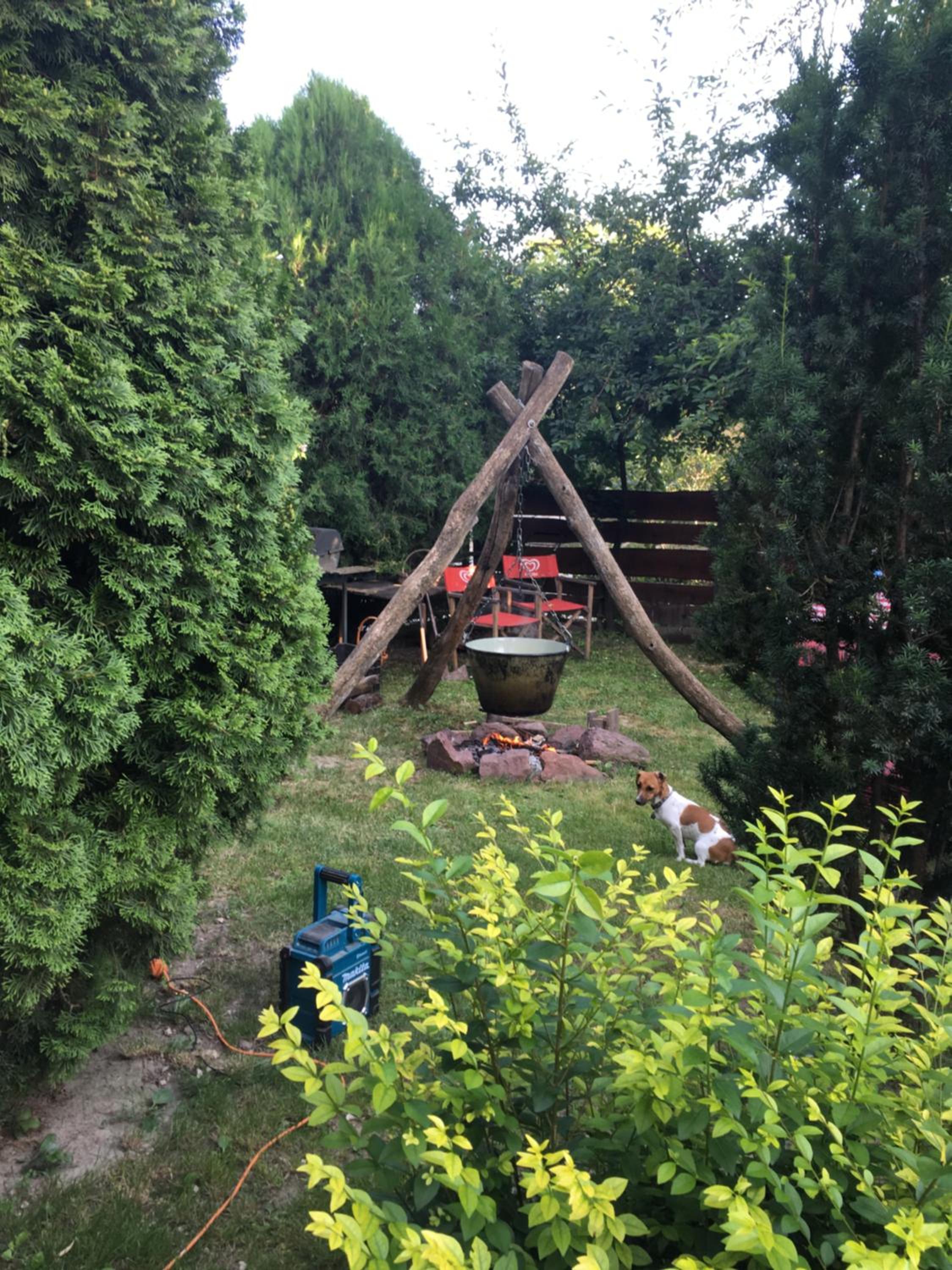 Photo 28