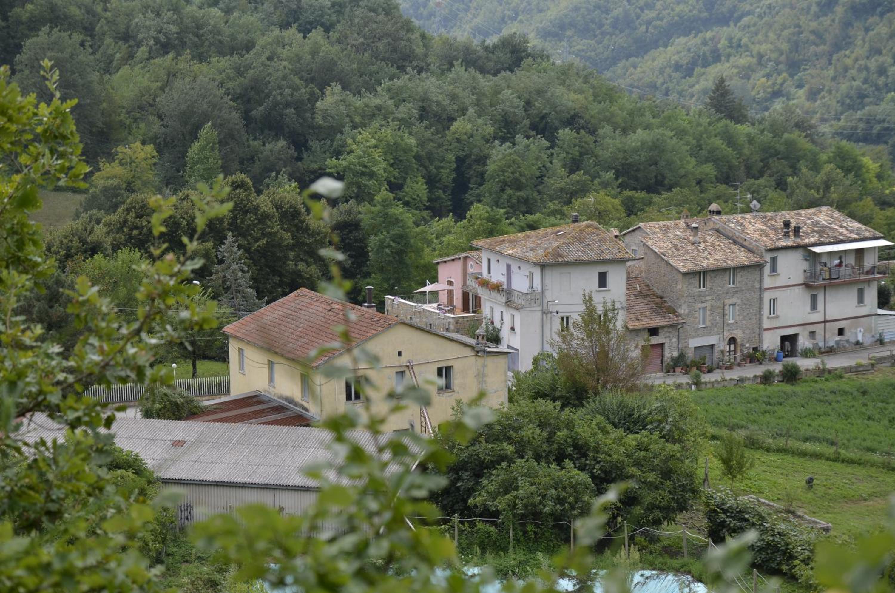 Photo 41