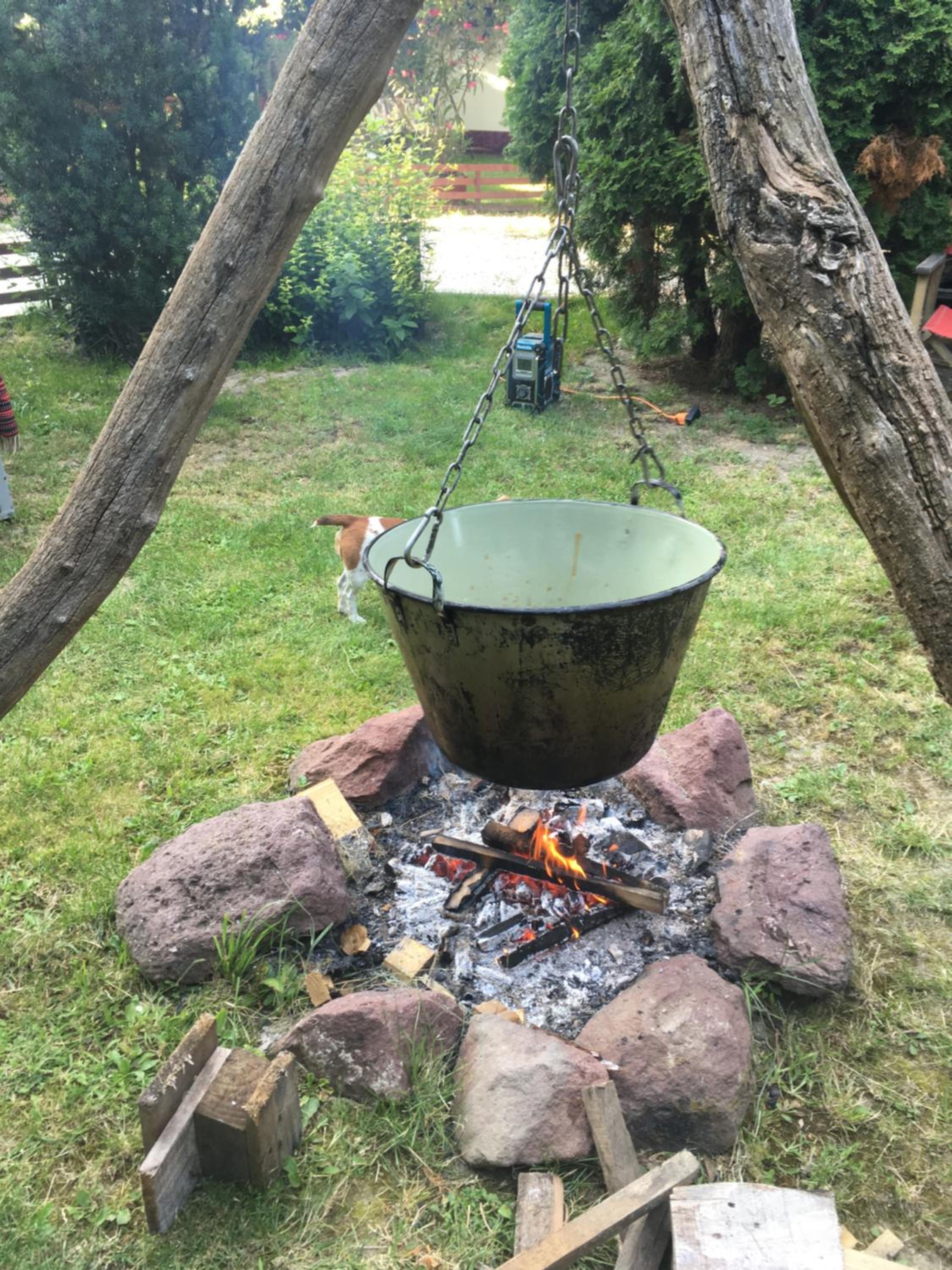 Photo 26