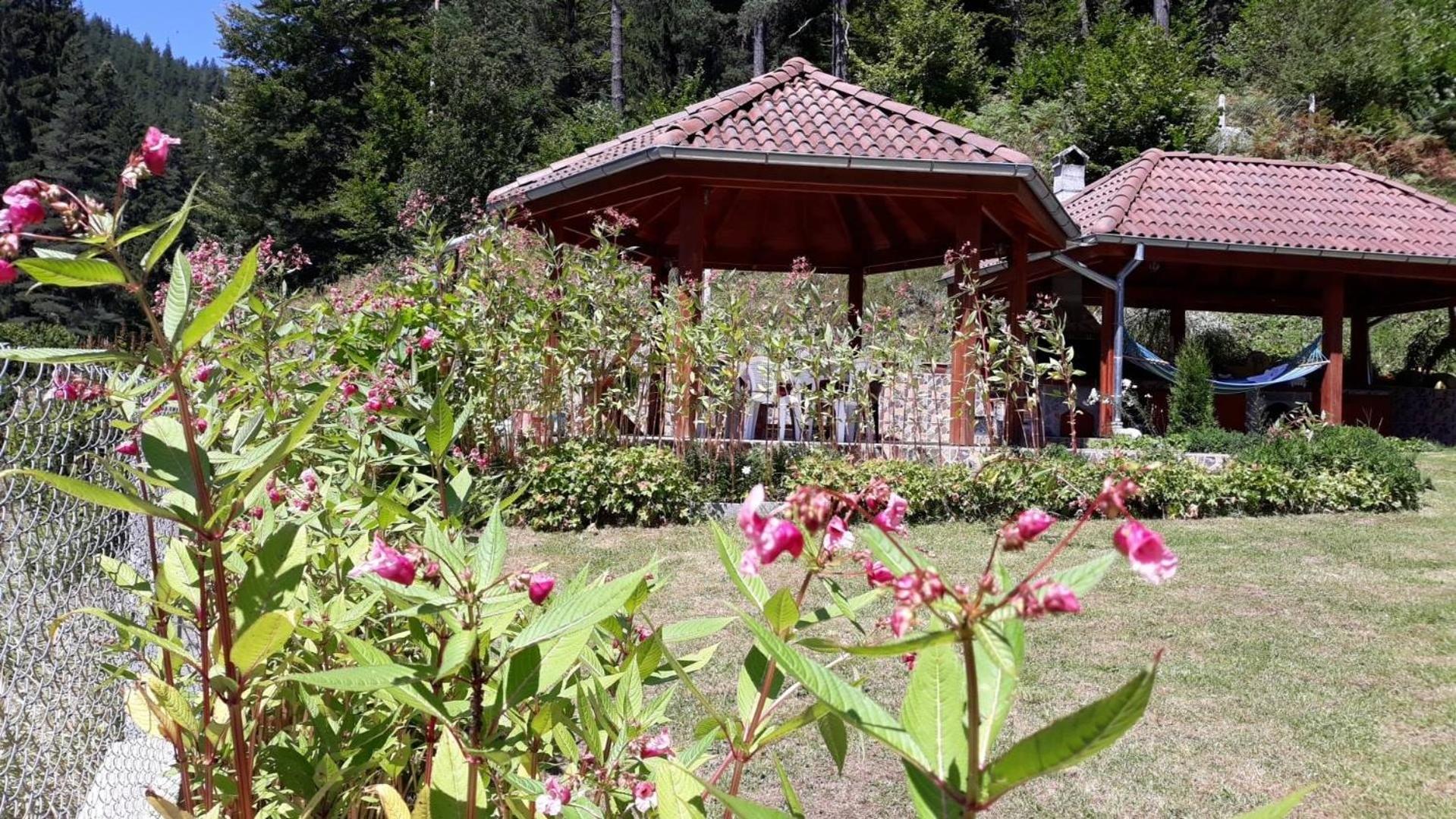 Villa Chaushevi view 3