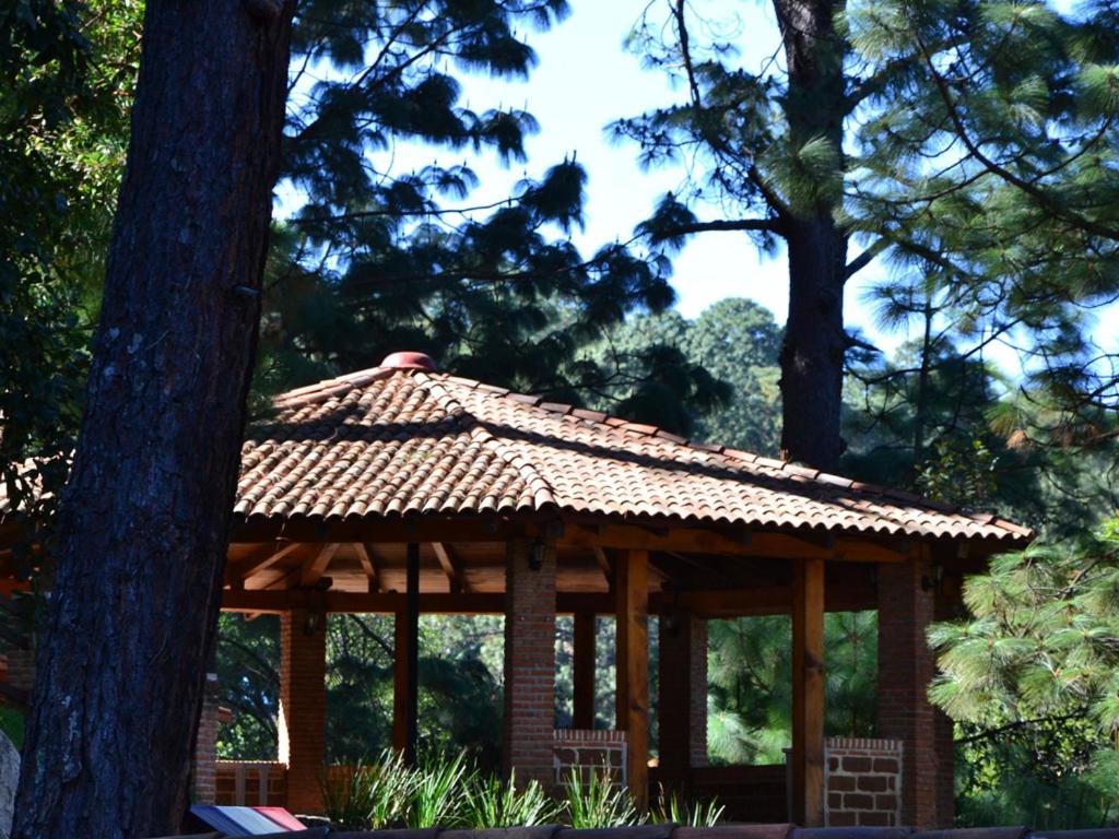 Bosque La Luna, photo 27