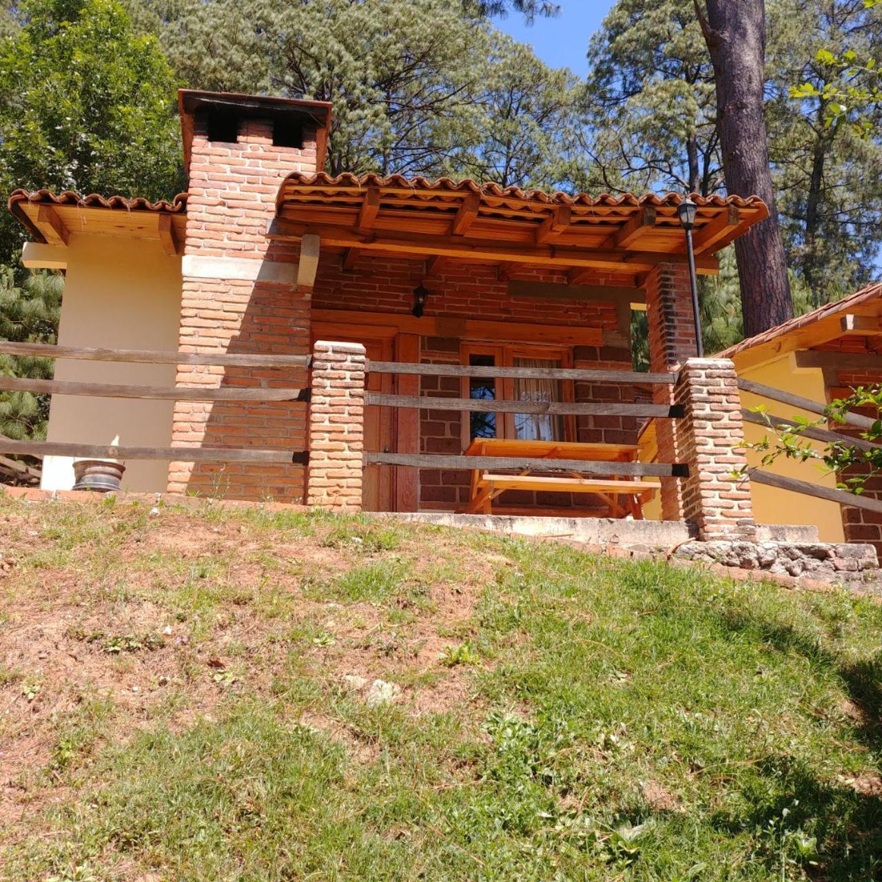 Bosque La Luna, photo 13