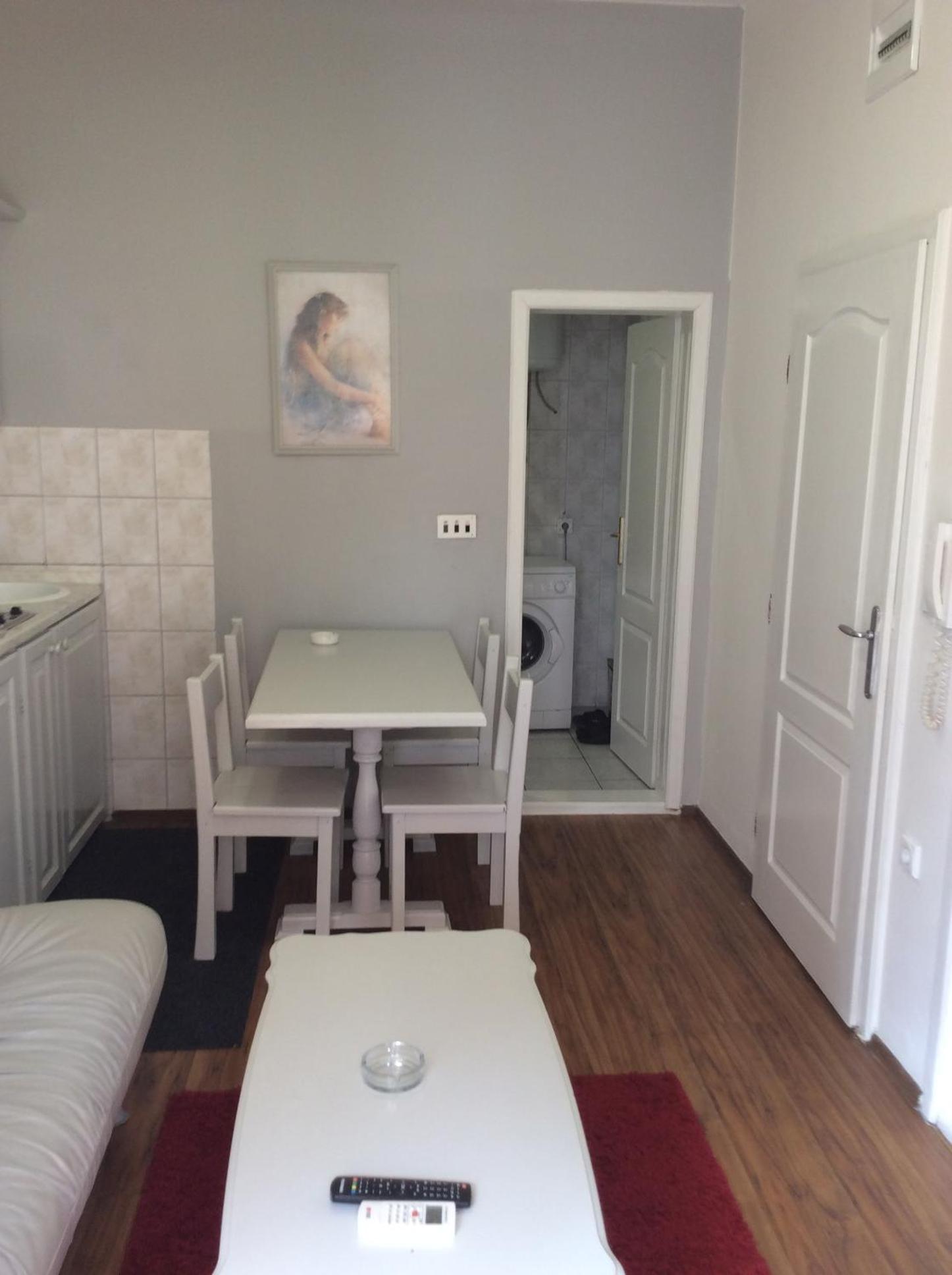 Apartman Andrea, BN centar