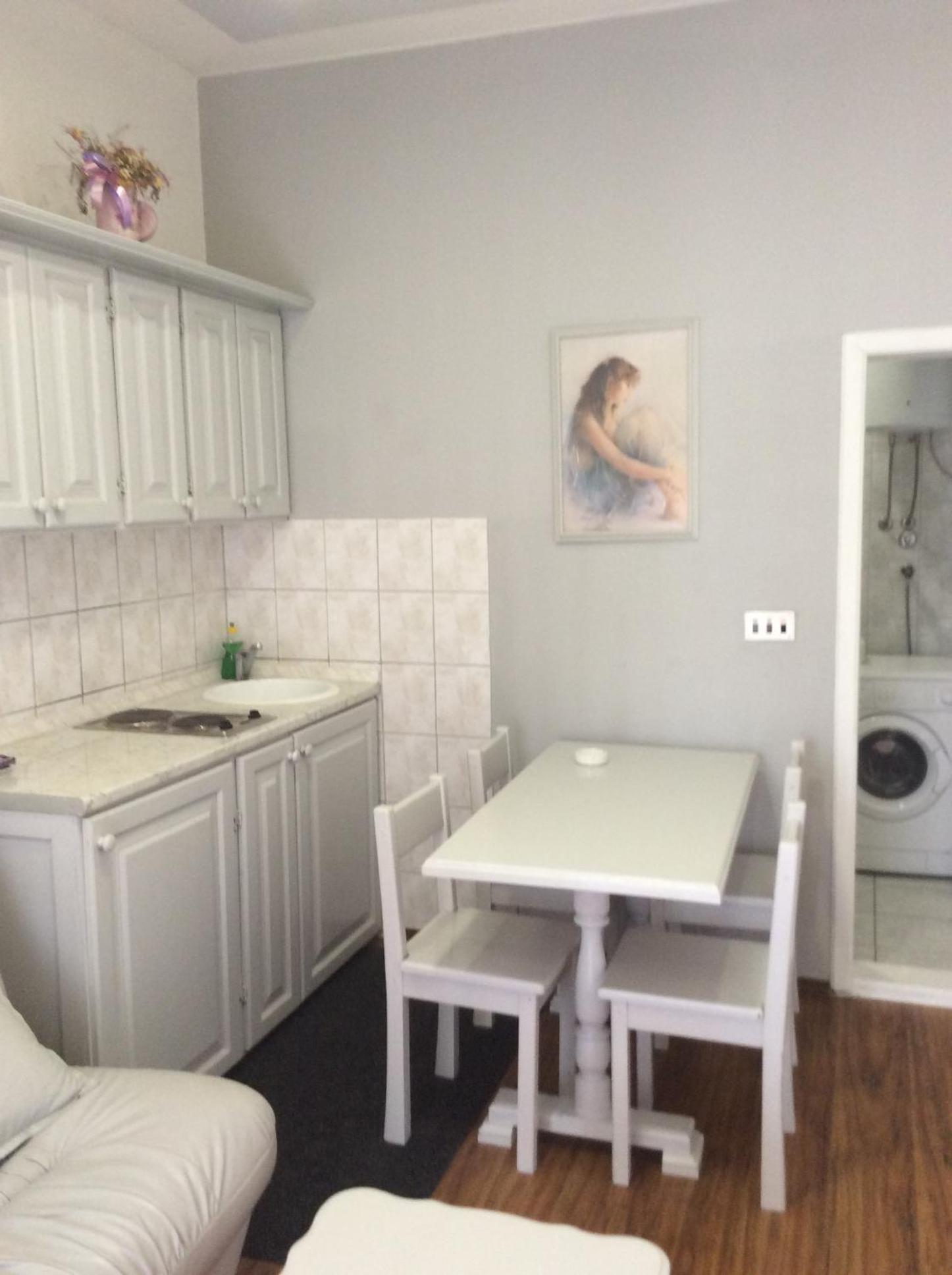 Apartman Andrea, BN centar