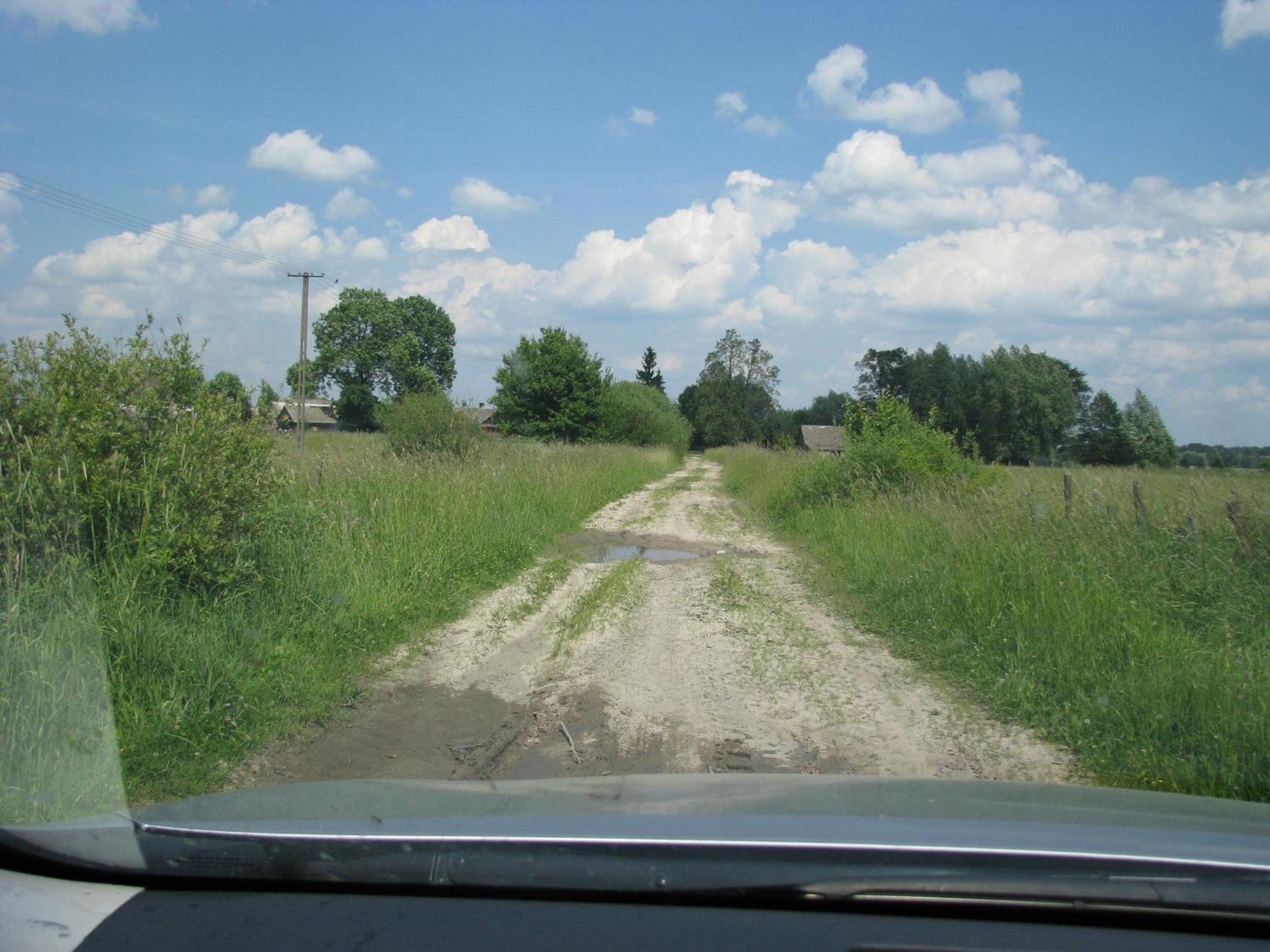 Photo 41