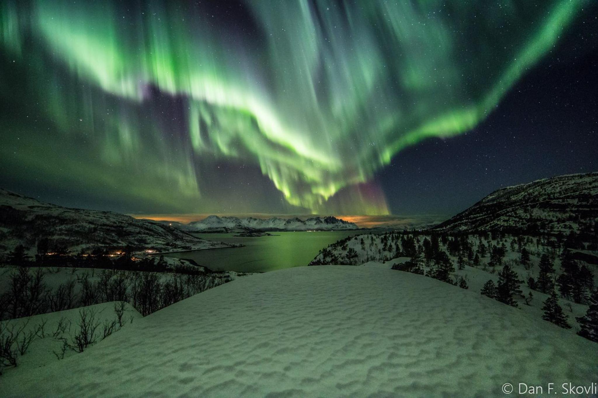 Arctic FjordCamp
