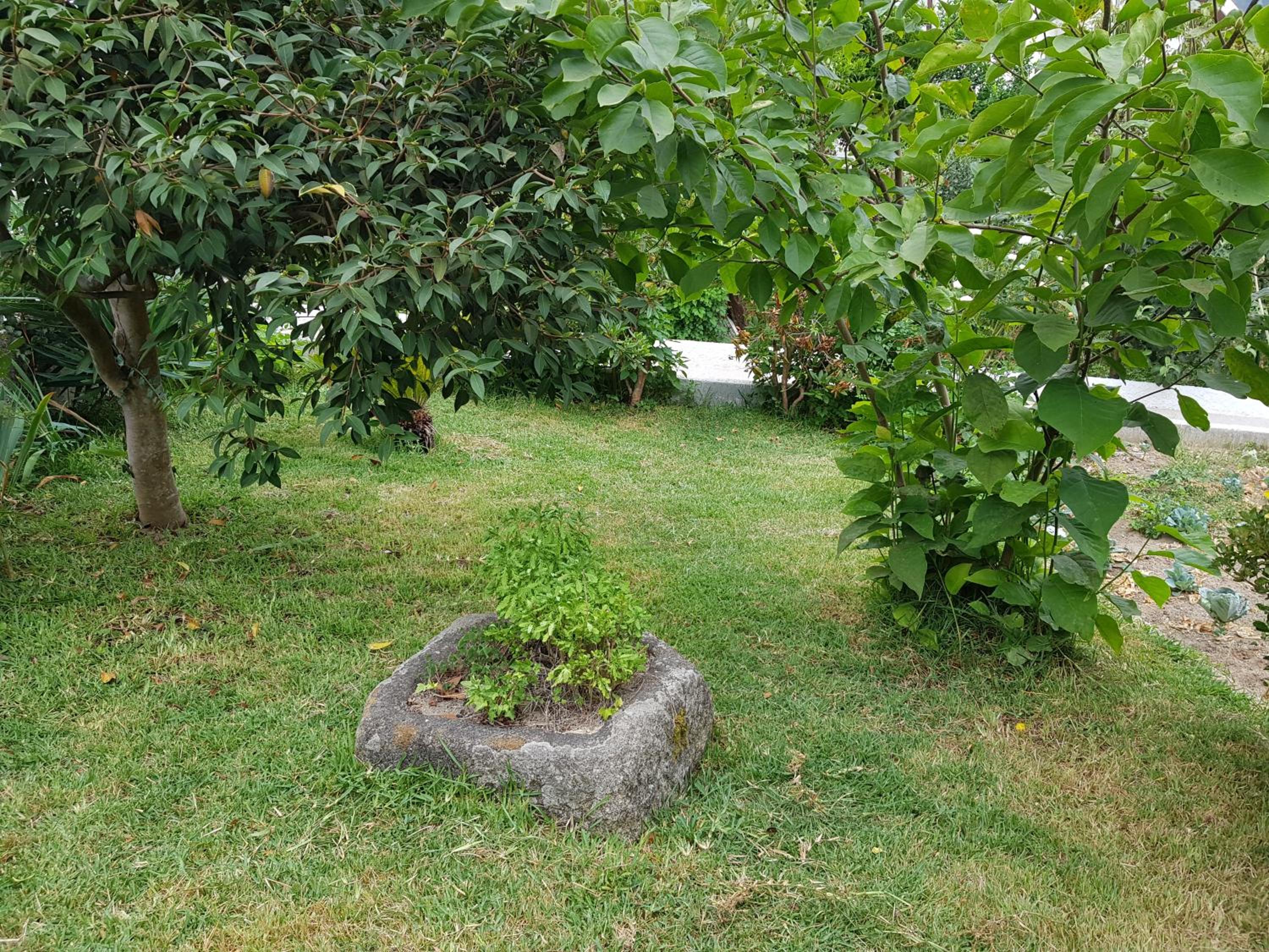 Photo 33