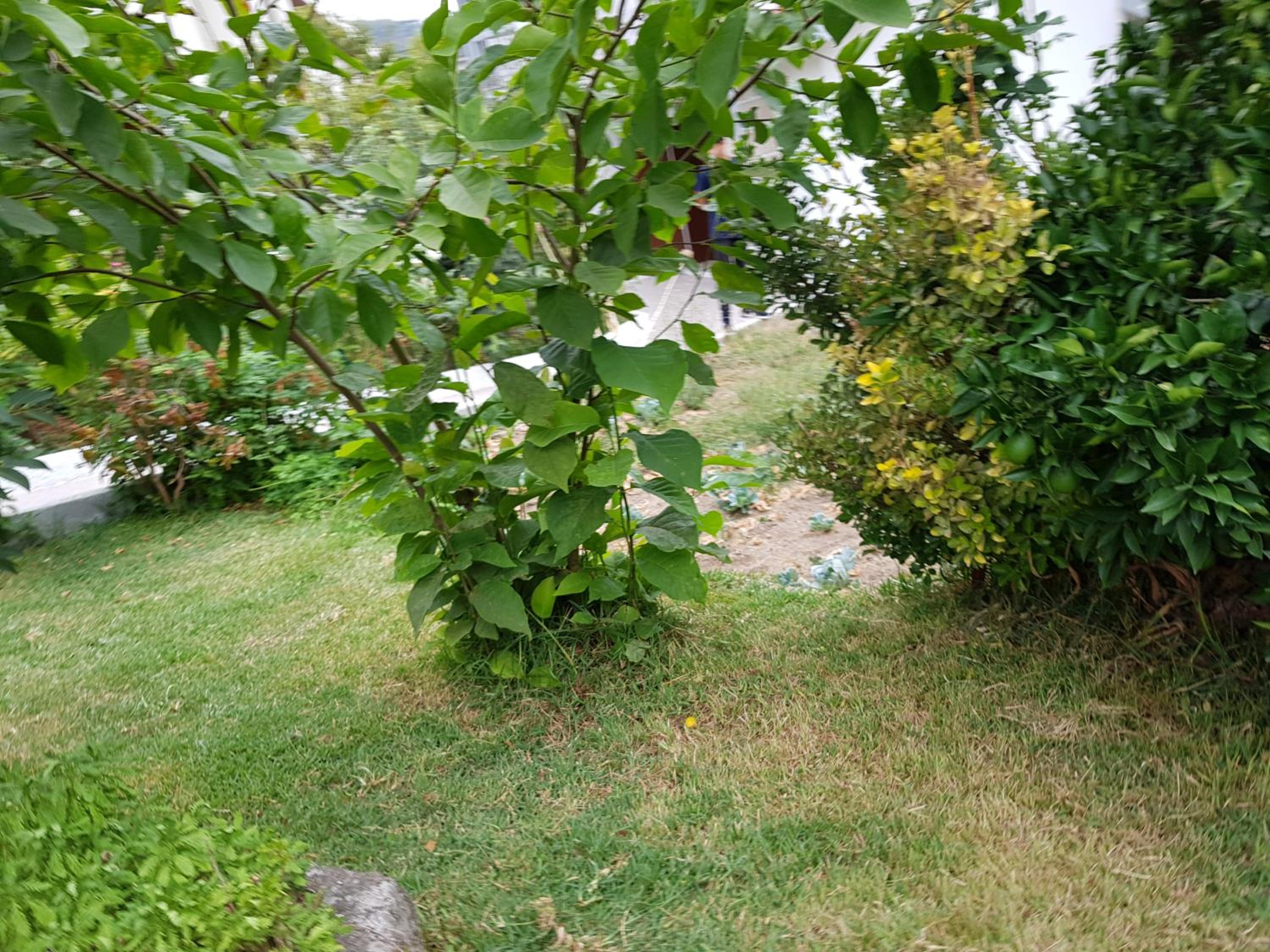 Photo 34