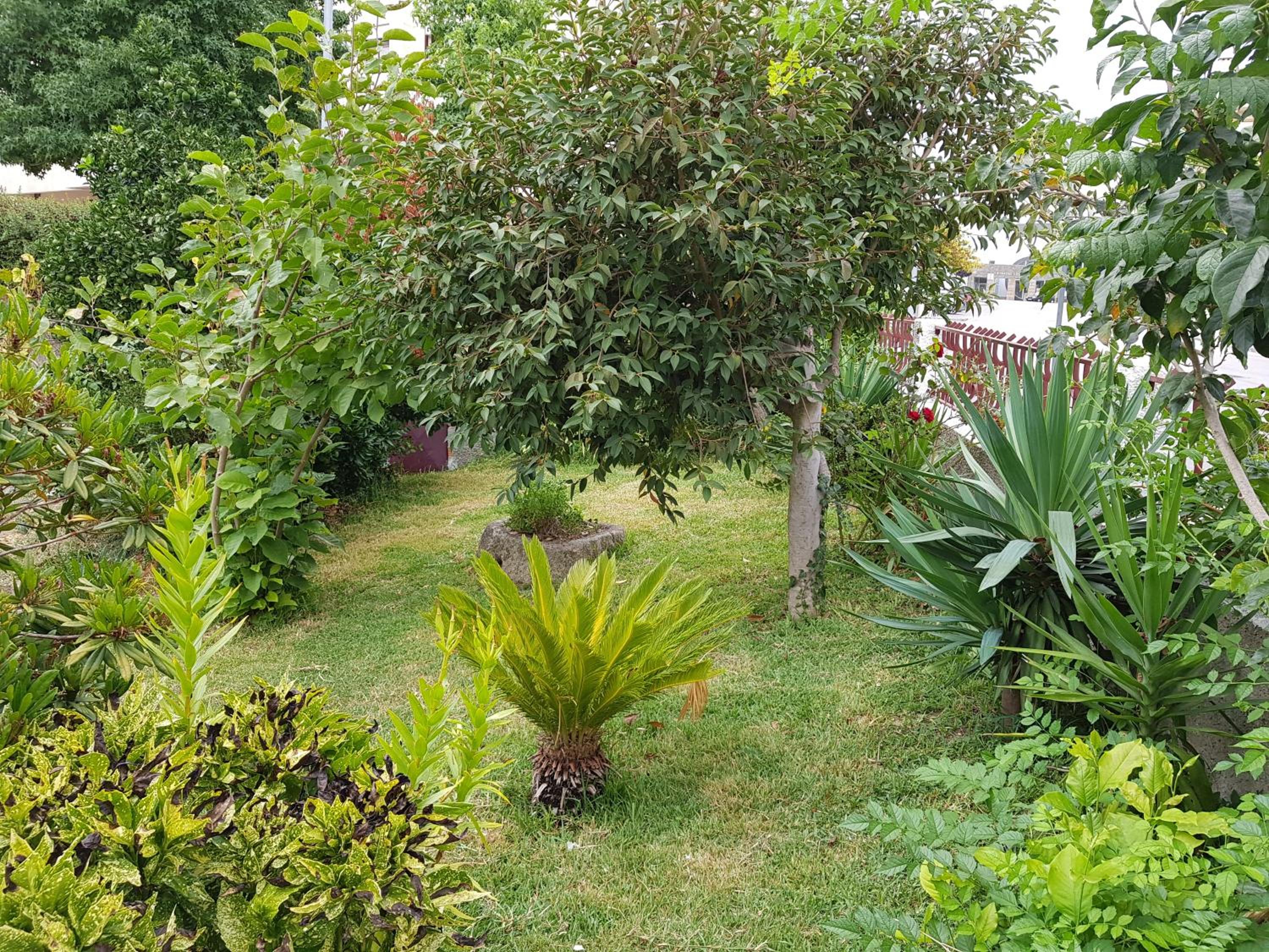 Photo 37