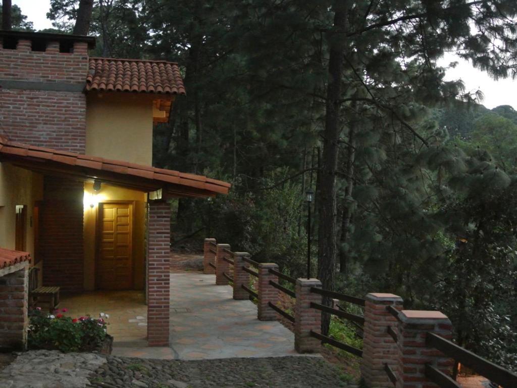 Bosque La Luna, photo 20