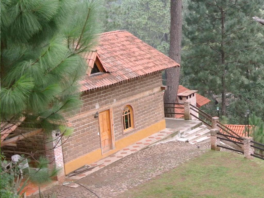Bosque La Luna, photo 17