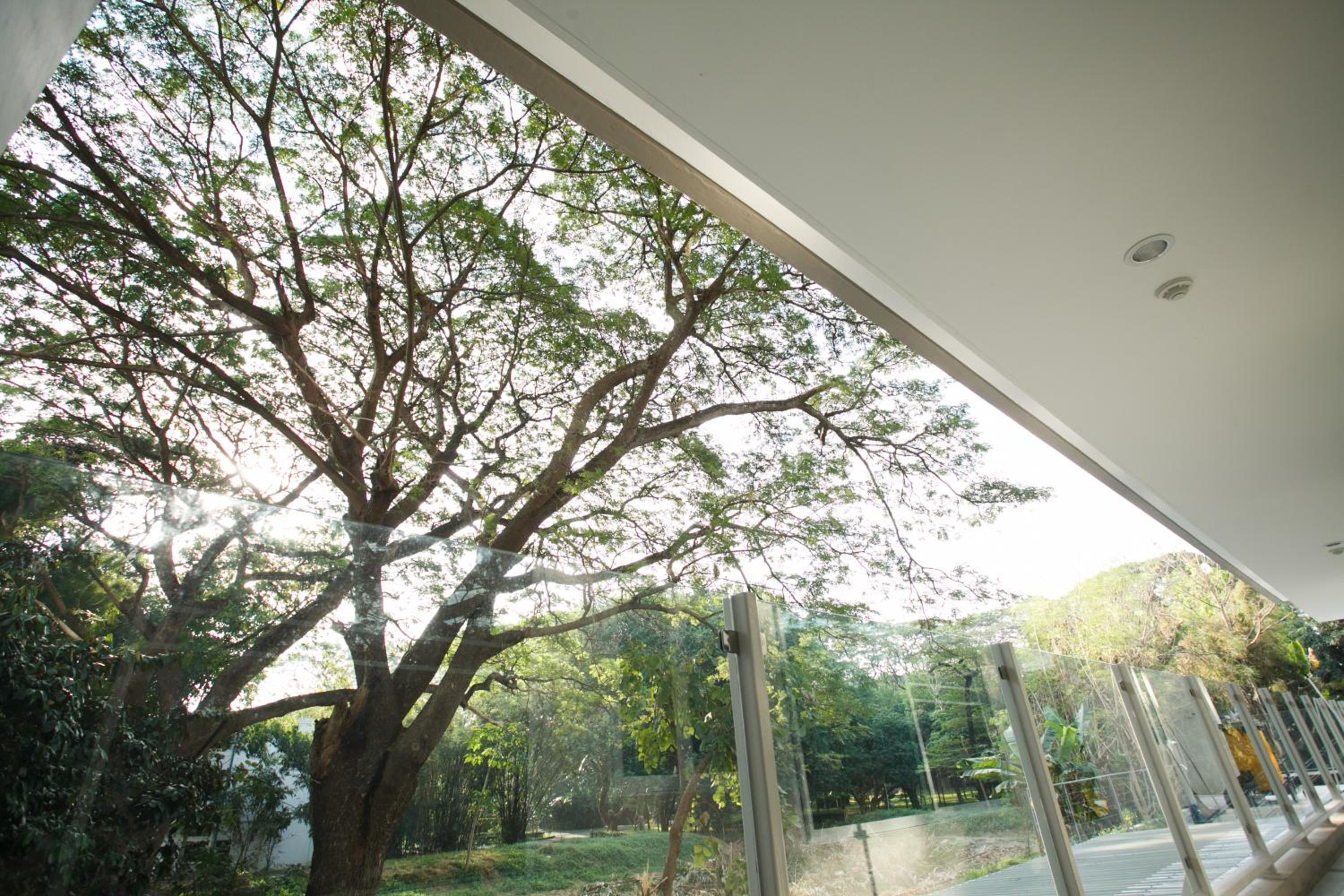 Nivas Chiangmai view 4