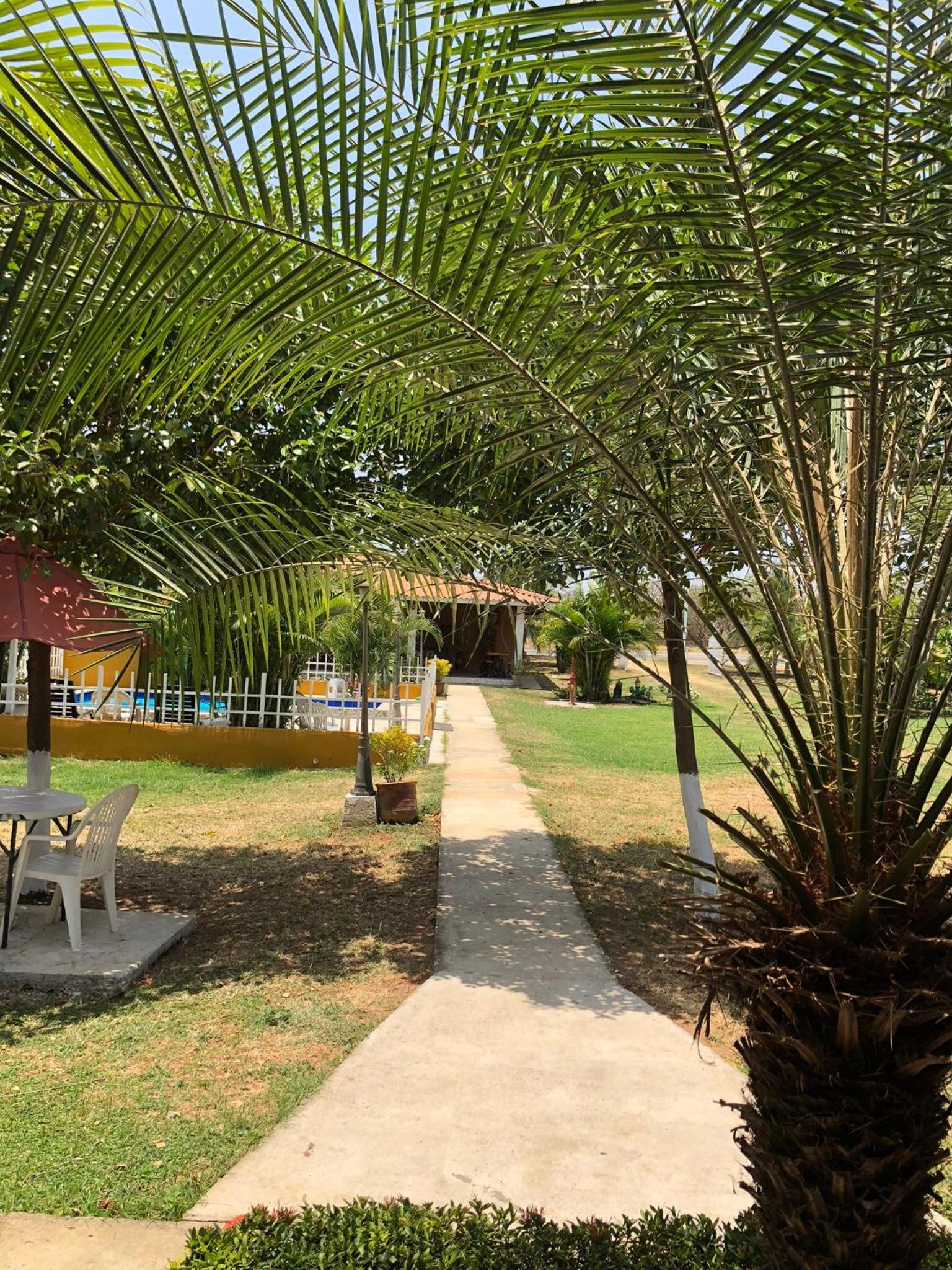 Photo 21