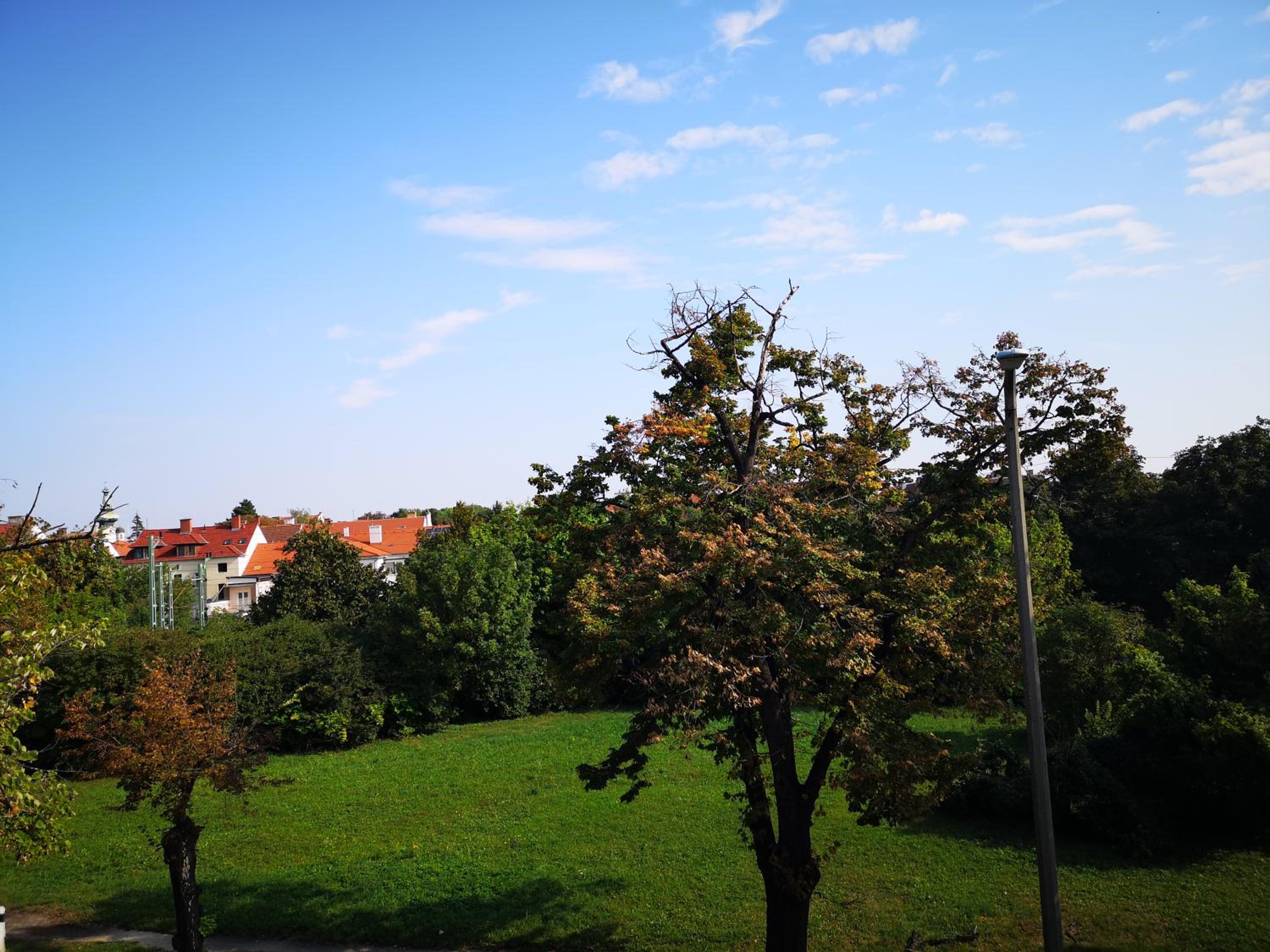 Photo 33
