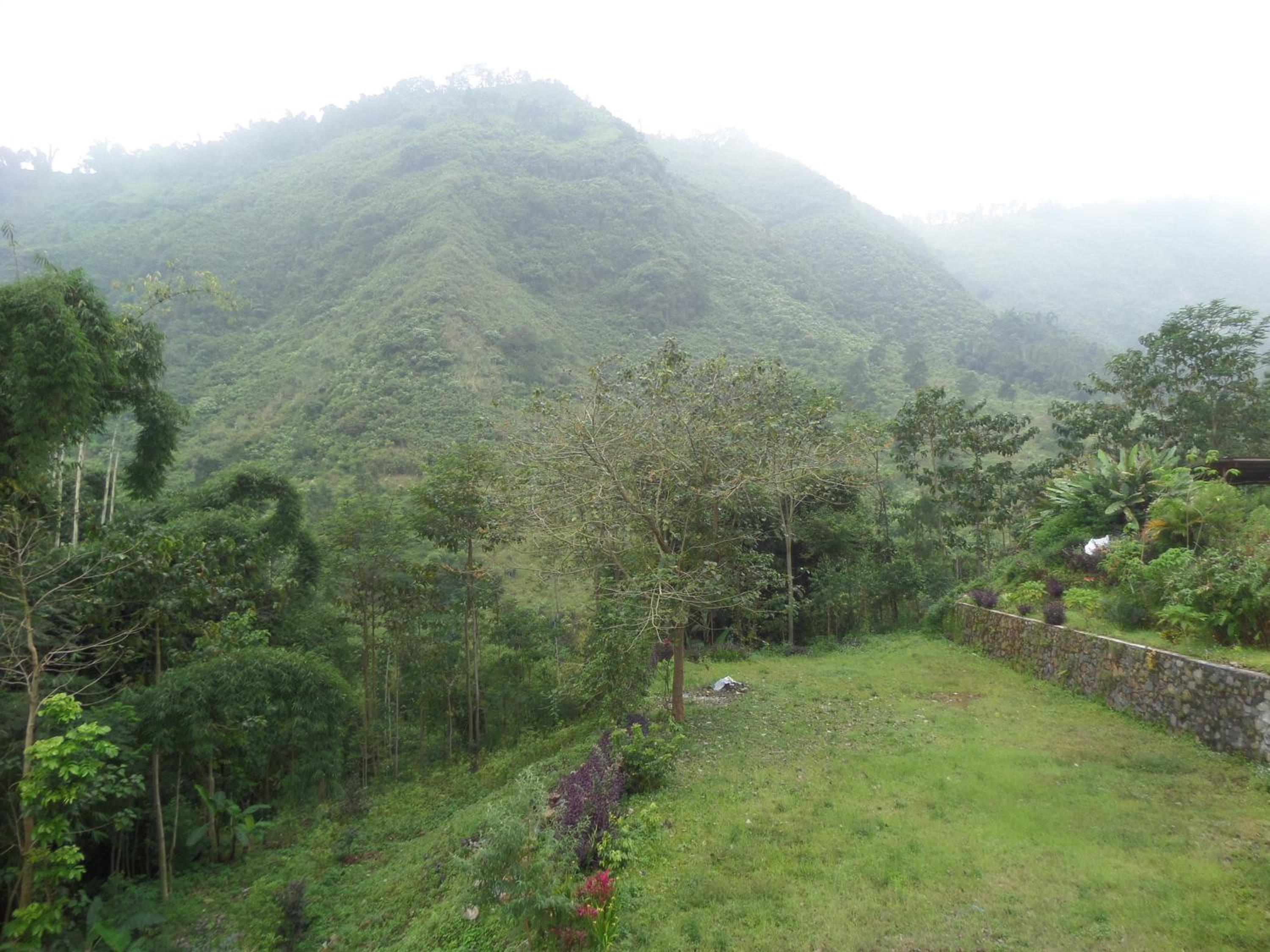 Km 31 Sujono Guesthouse