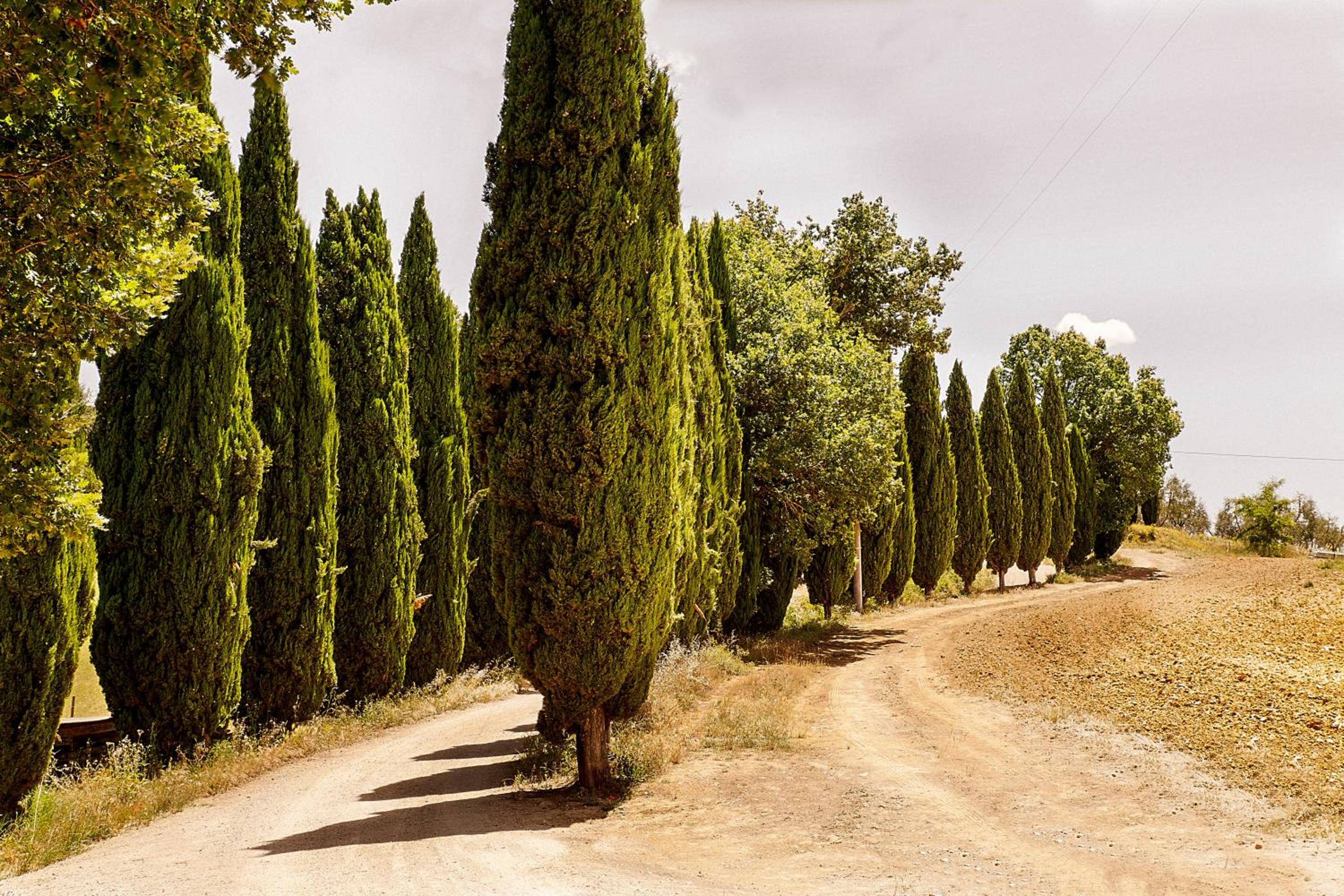 Borgo Villa Certano - Case Vacanza in Toscana
