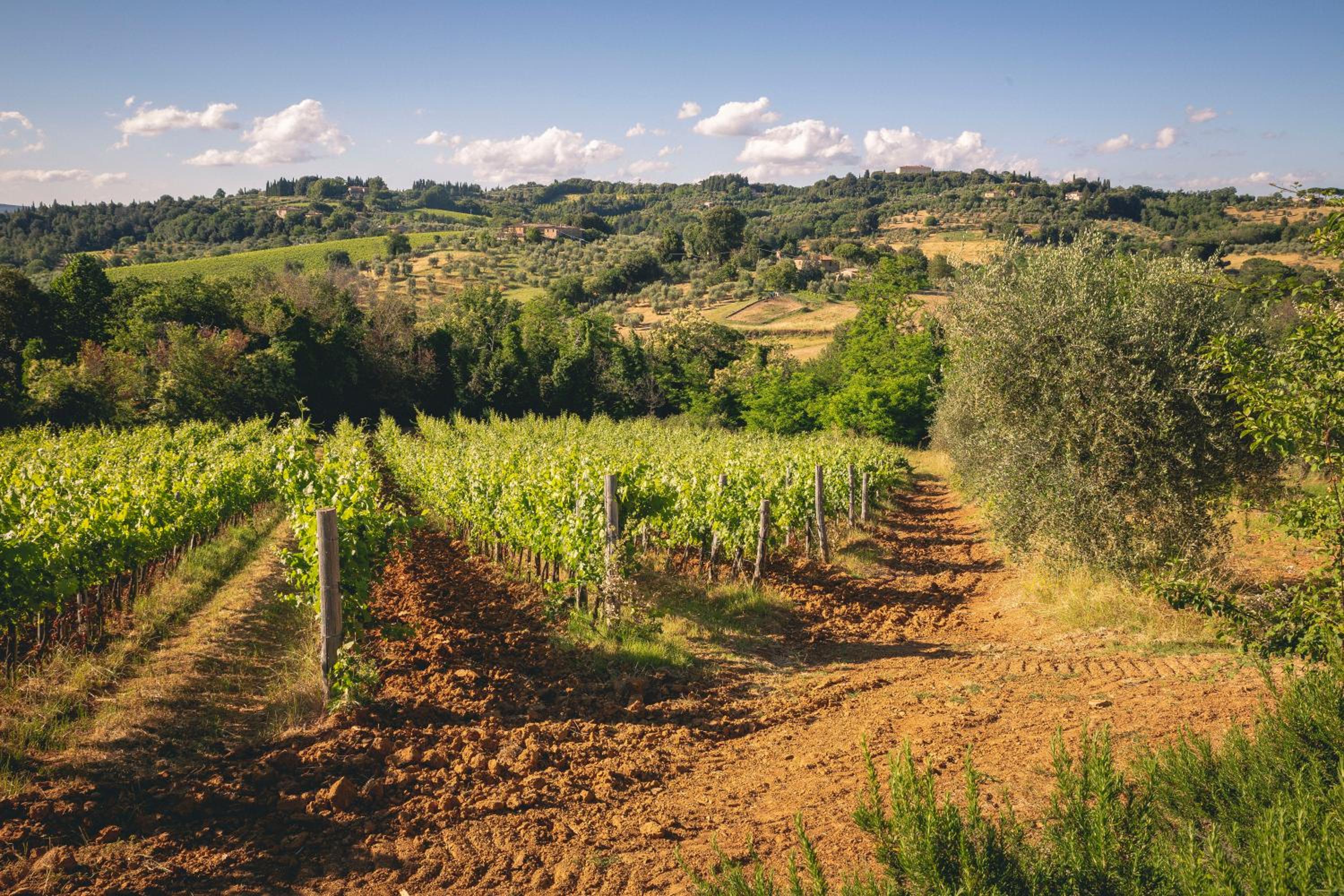 Borgo Villa Certano - Case Vacanza in Toscana